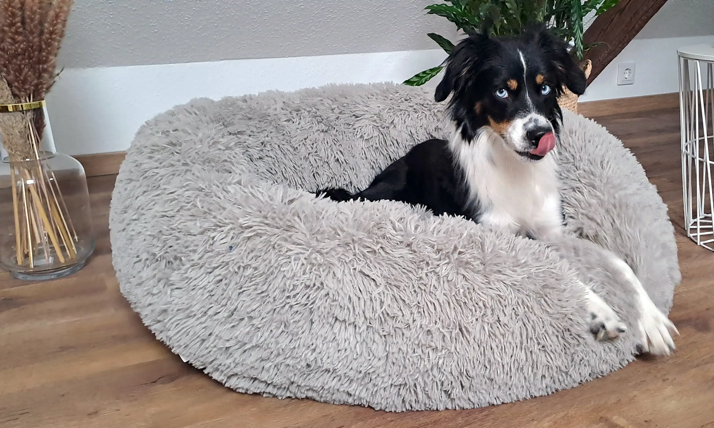 Nobby Kuschelbett Donut Classic Esla dunkelgrau
