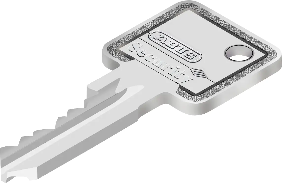 Abus Profilzylinder GZ 30/30 mm