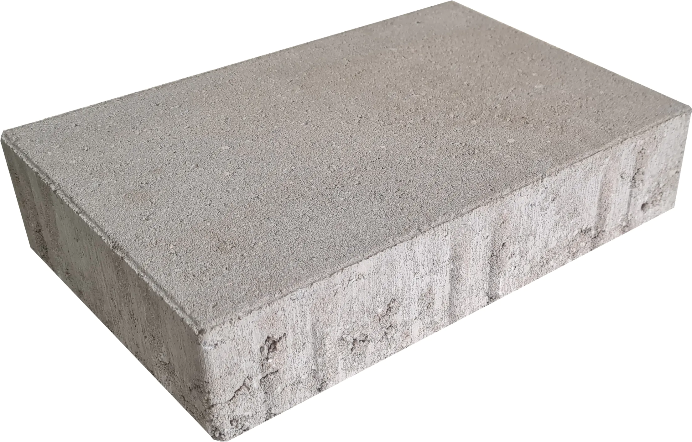 EHL Pflasterstein Veria 30 x 20 x 8 cm grau