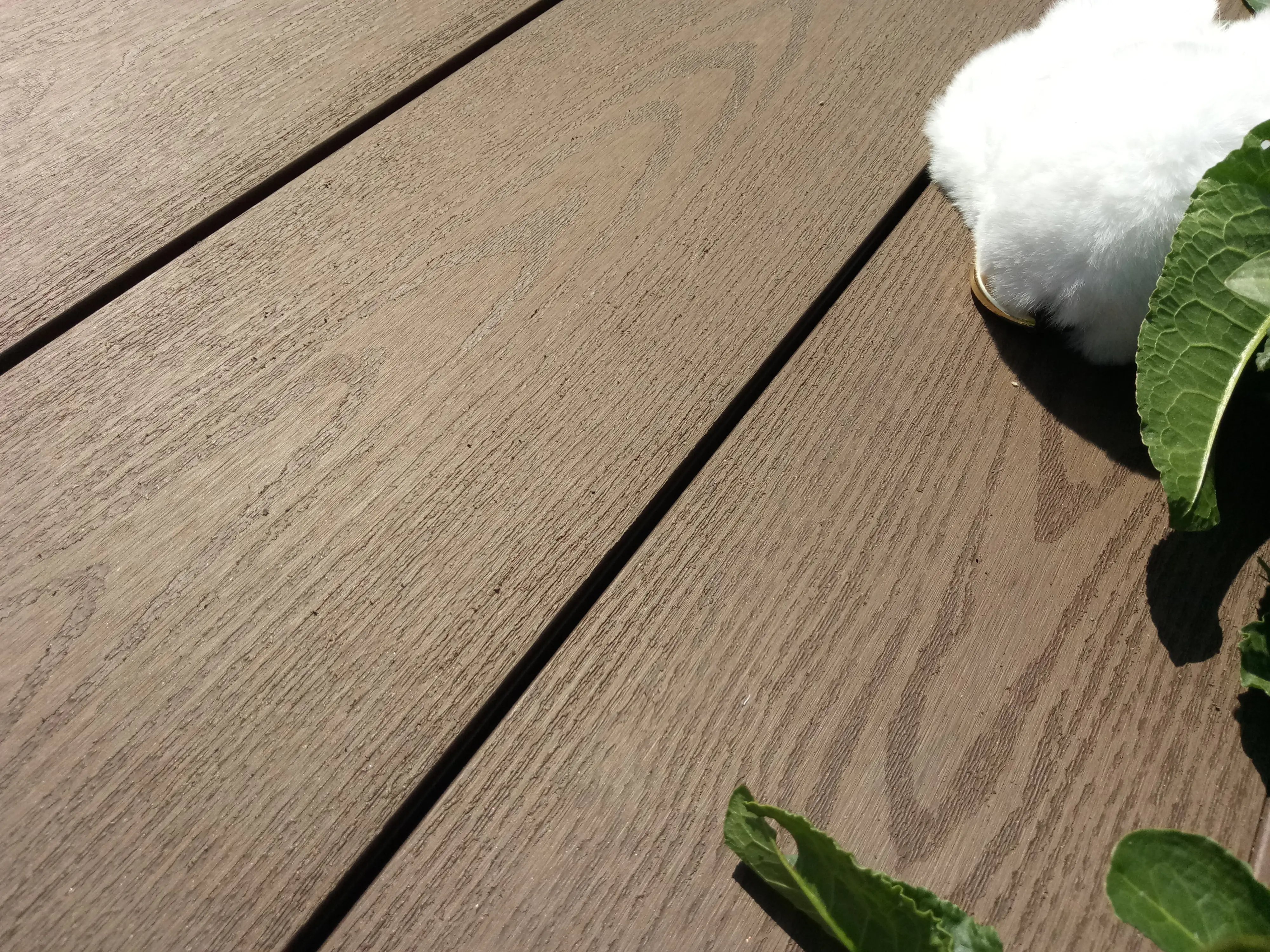 TrendLine Terrassendiele WPC 300 x 14,5 x 2,1 cm braun glatt