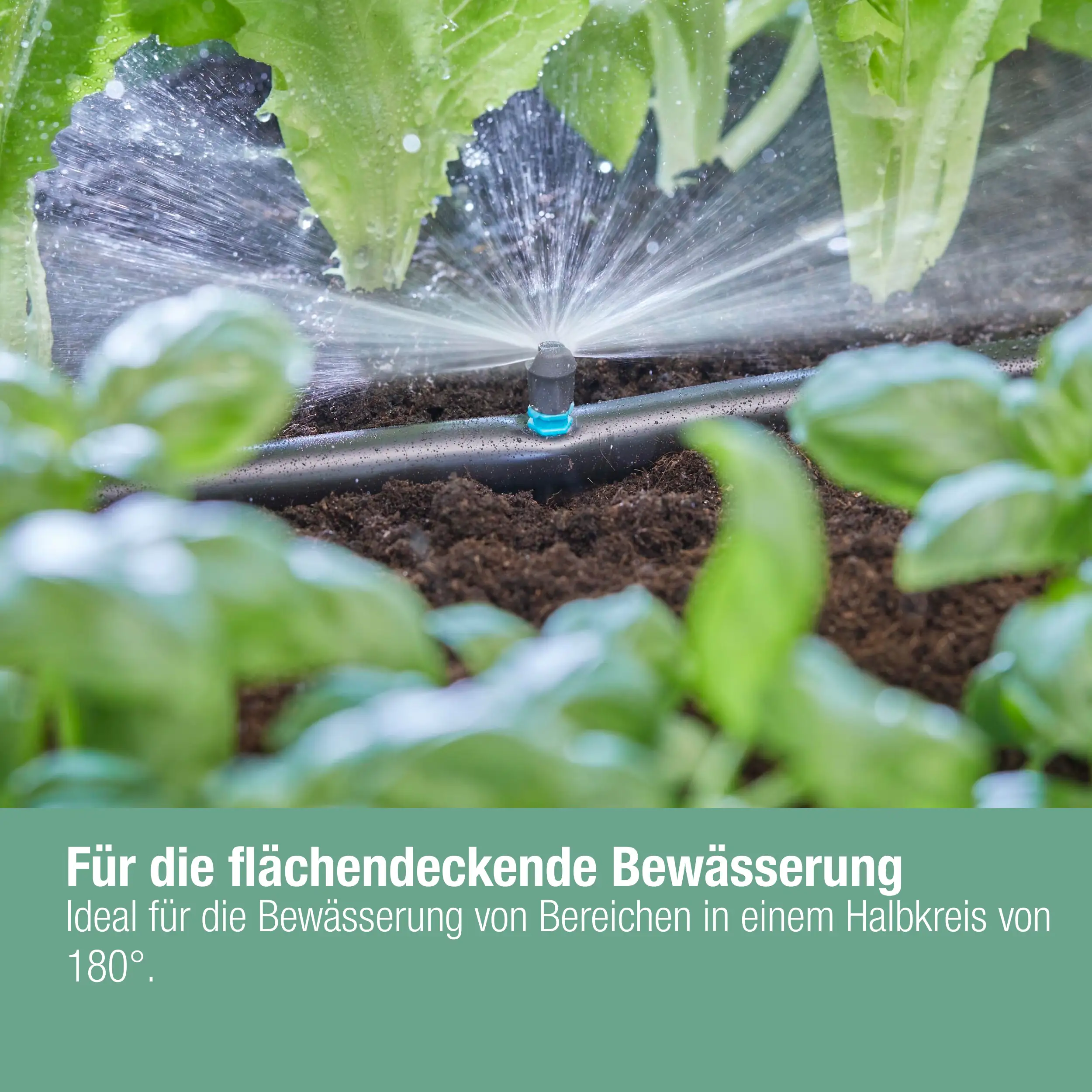 Gardena Sprühdüse, 180°