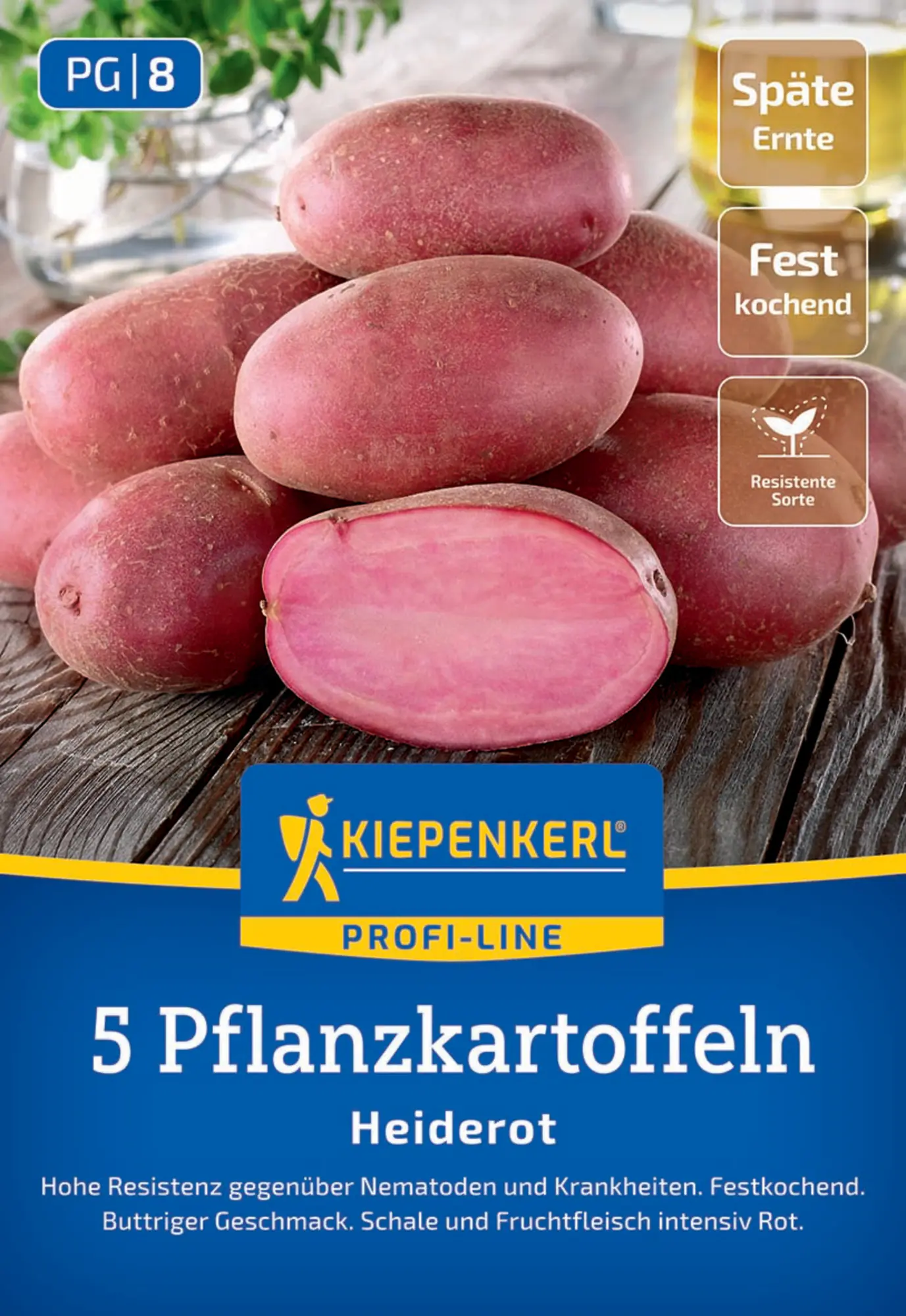 Kiepenkerl Pflanzkartoffel Heiderot 5 Stück