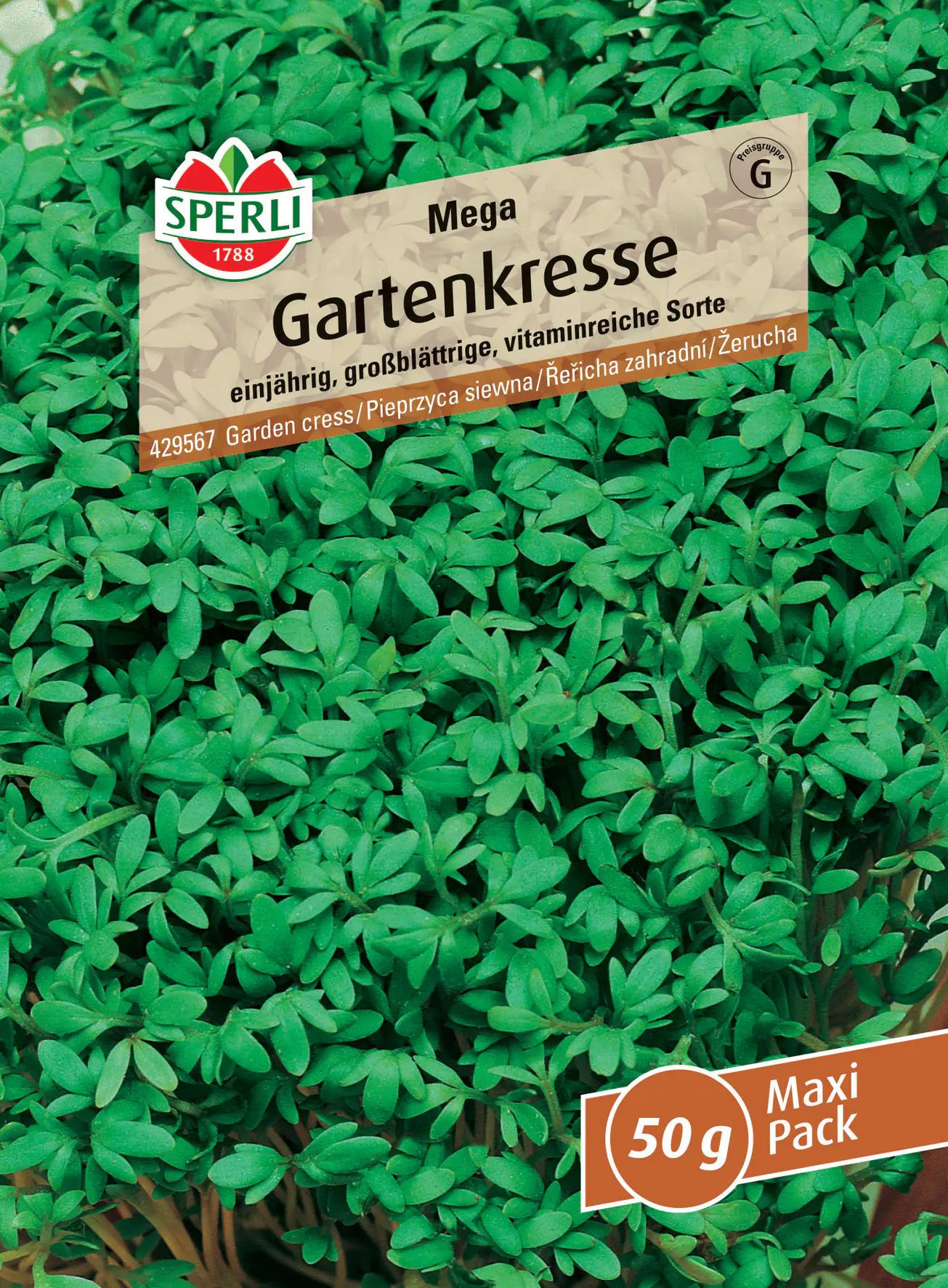 Sperli Gartenkresse Mega MaxiPack 50 g