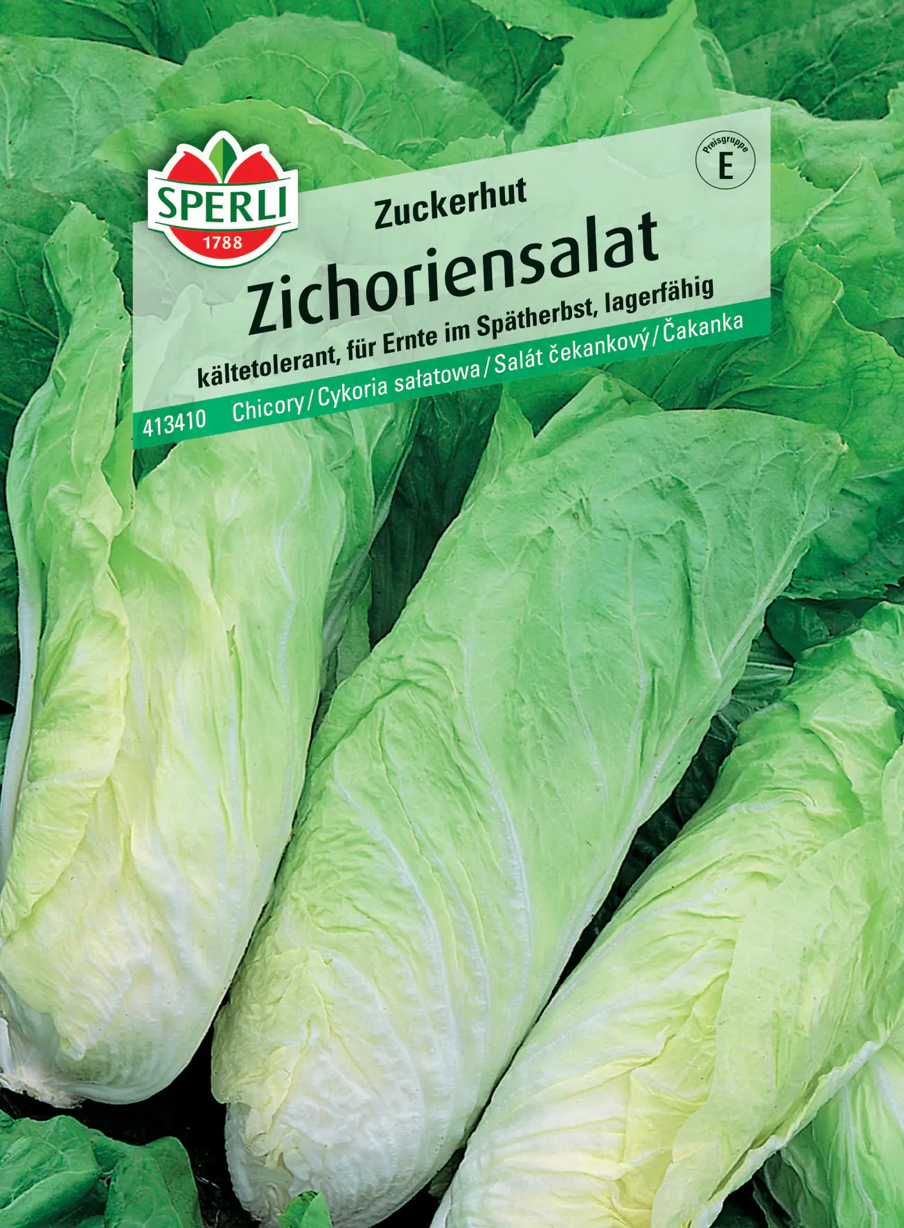Sperli Zichoriensalat Zuckerhut