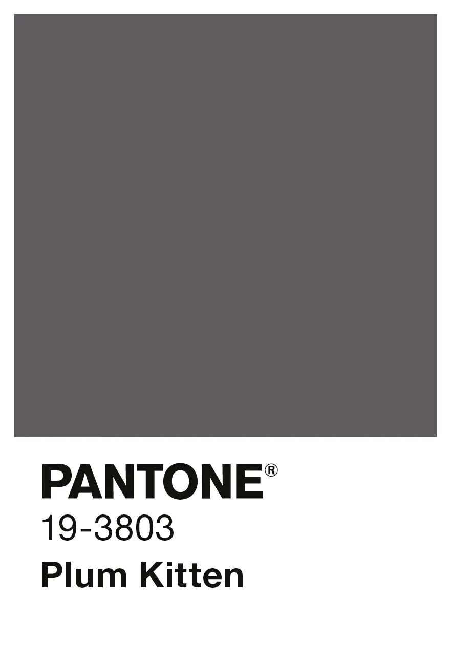 Alpina Wandfarbe Pantone matt plum kitten 2,5 L