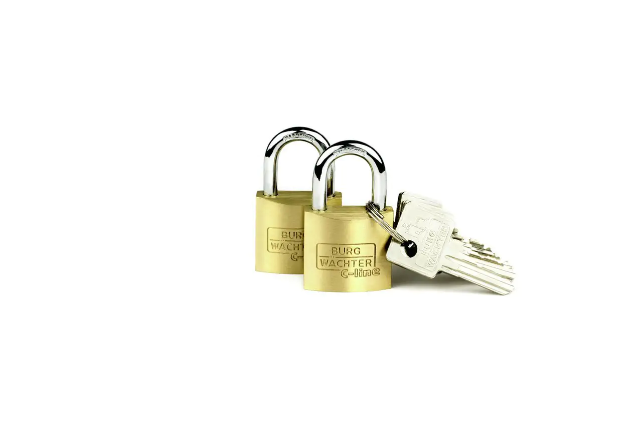 Burg Wächter Vorhängeschloss Duo 222 20 SB C-Line 10.0 x 11.0 mm - 2 Stück