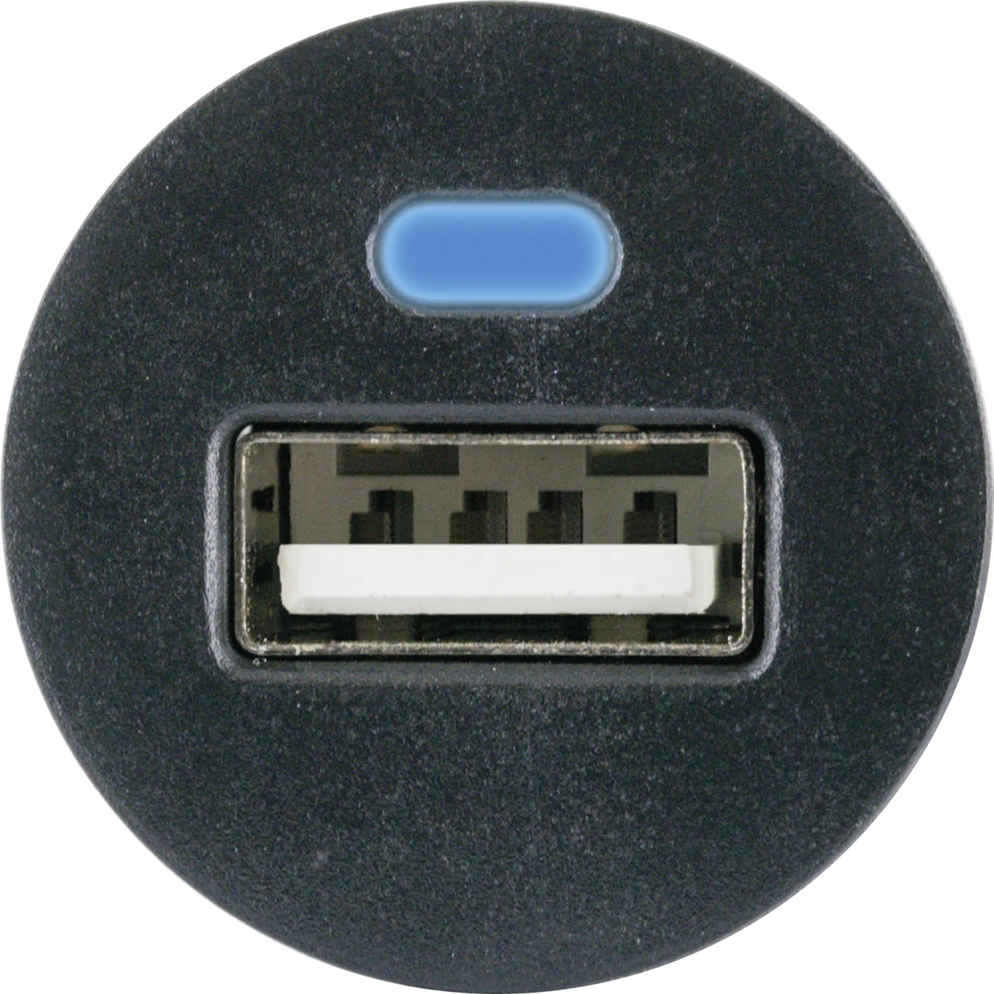Schwaiger Ladeadapter Smart USB 12 V, USB 2.4 A Buchse