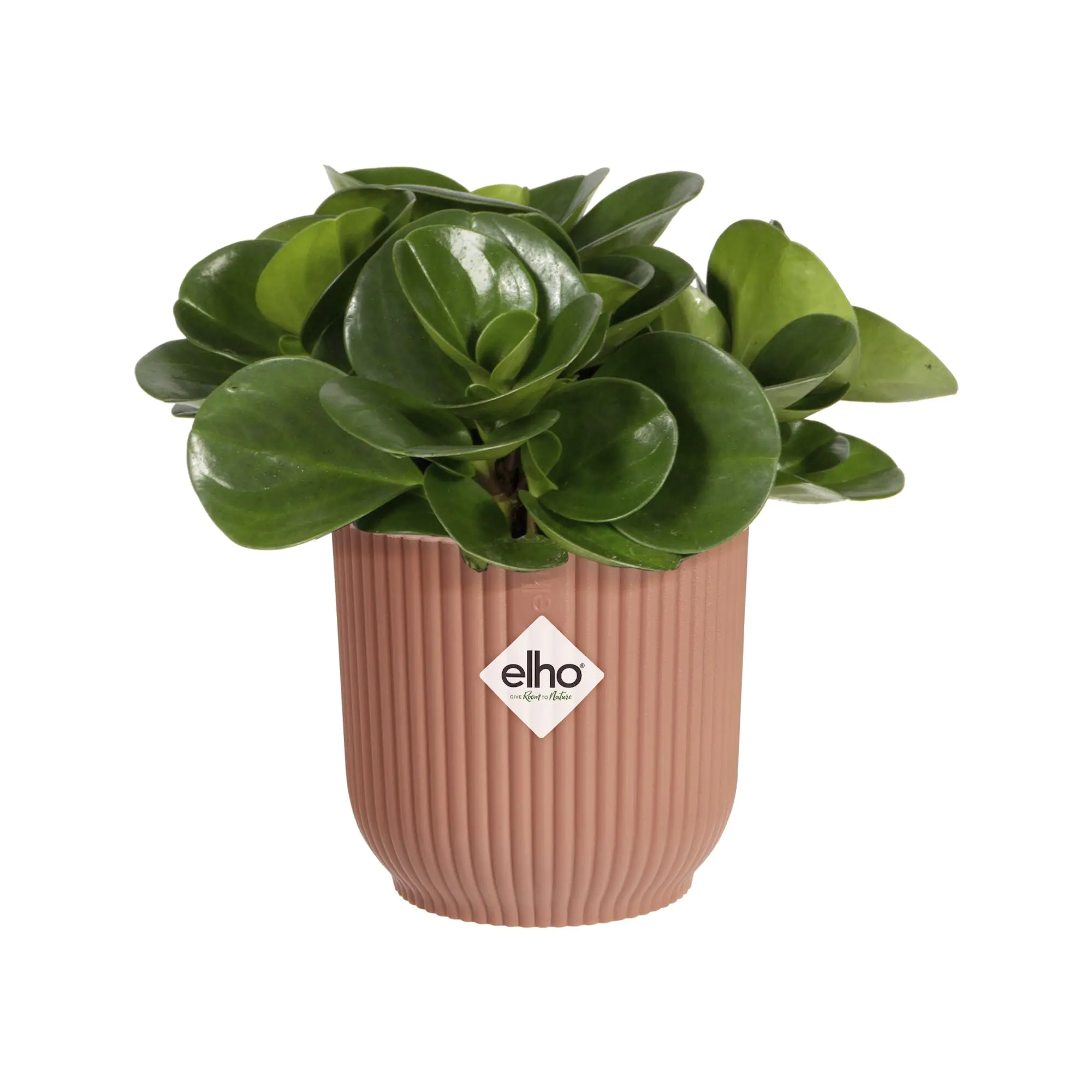 Elho Blumentopf Kunststoff rosa Ø 7 cm Vibes Fold Mini