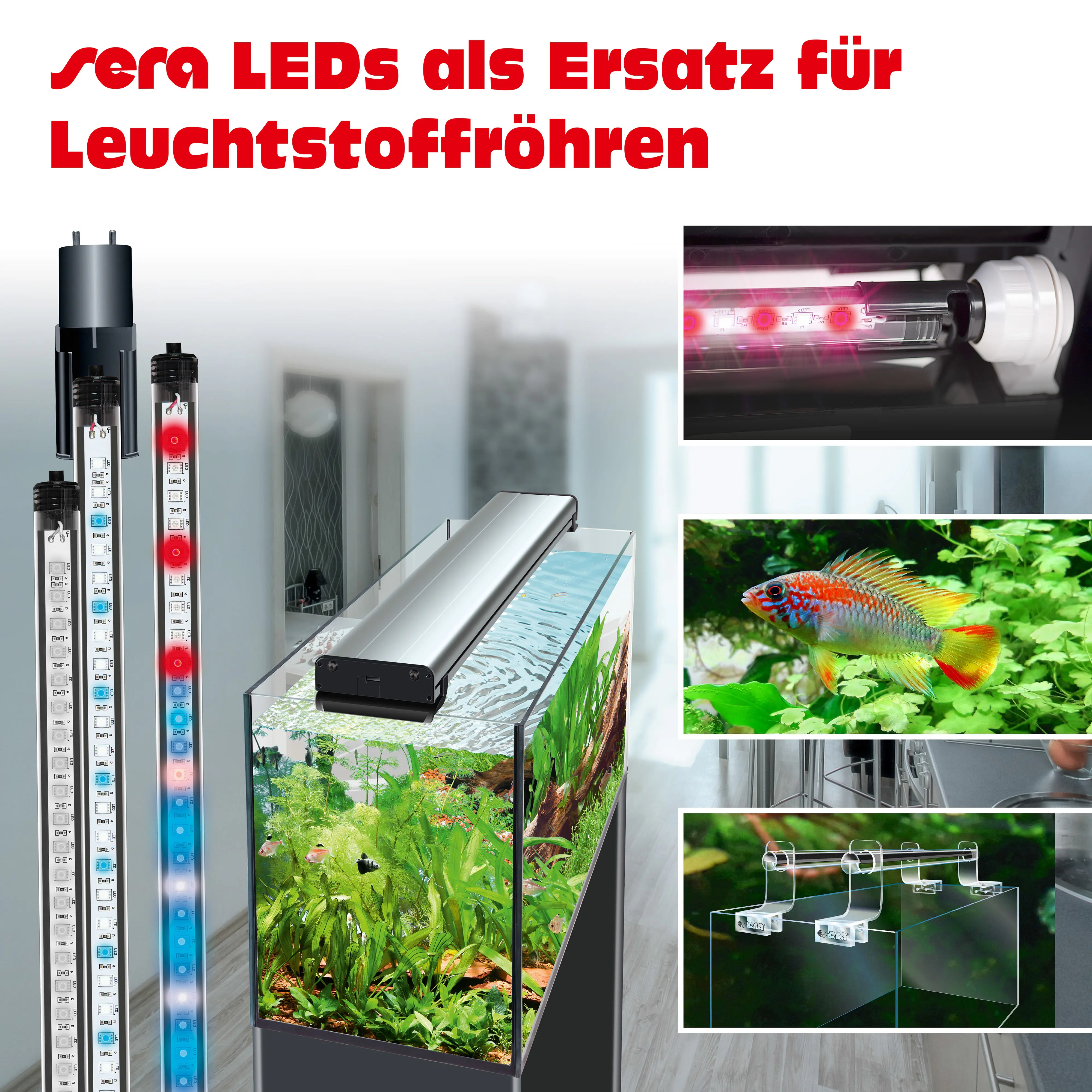 Sera Aquarium-Beleuchtung LED X-Change Tube daylight sunrise 1120 - 1 Stück
