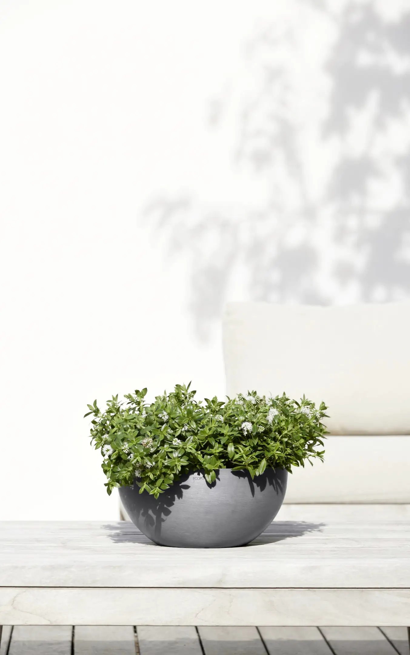 Ecopots Blumentopf Brussels Ø 30 cm grau