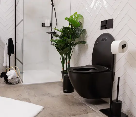Primaster Wand WC spülrandlos Prag Tiefspüler matt schwarz inkl. WC Sitz