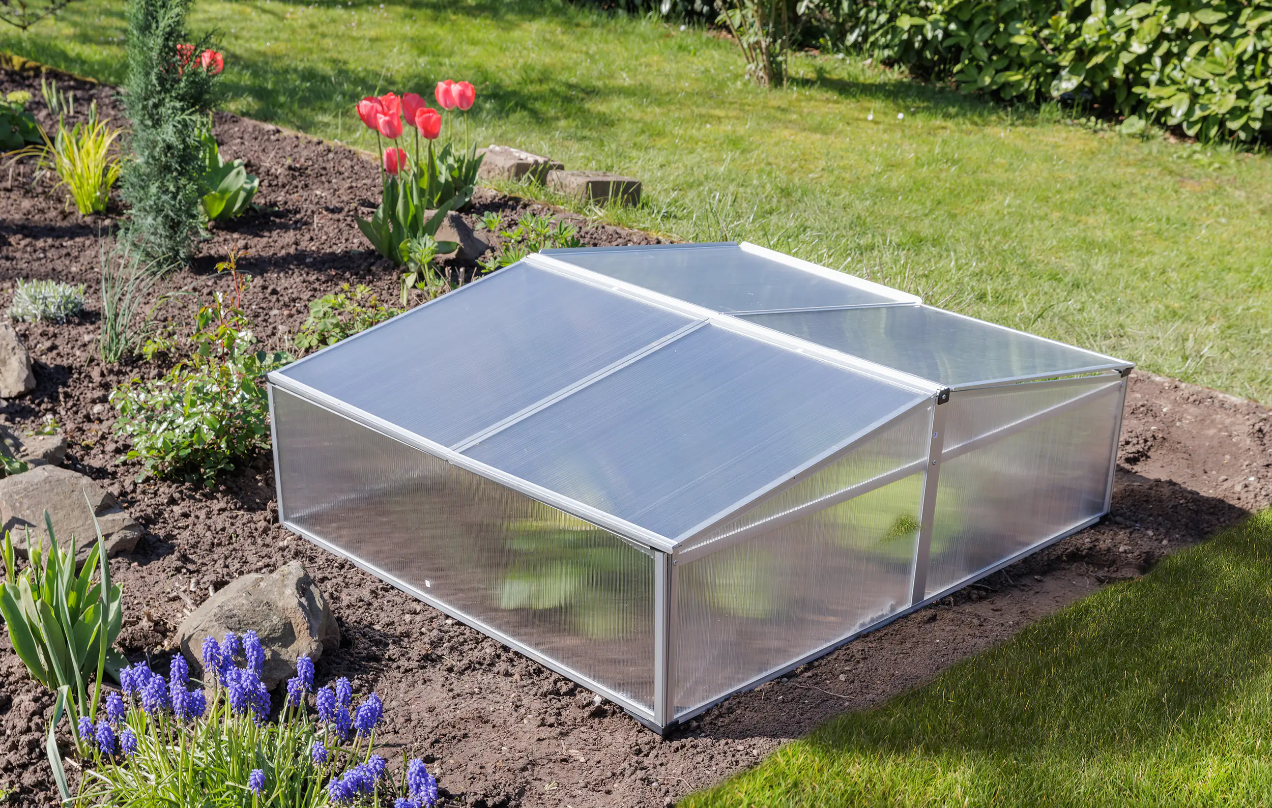 TrendLine Doppel-Frühbeet Alu 100 x 120 x 30/40 cm