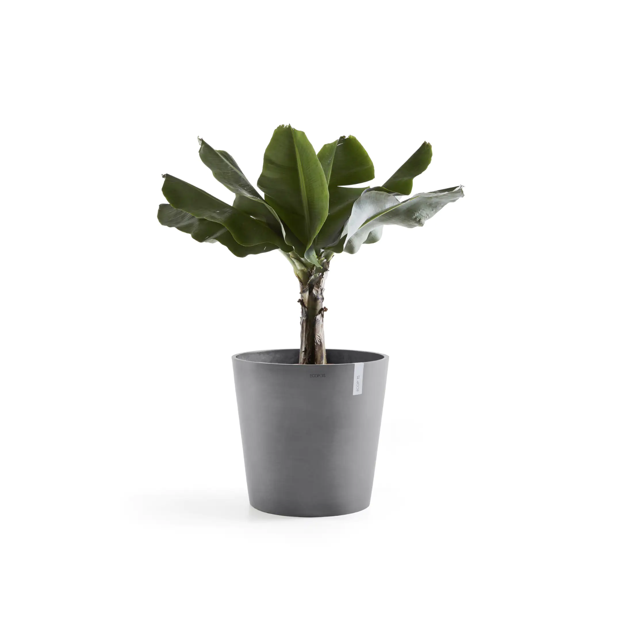Ecopots Pflanztopf Amsterdam Ø 50 x 43,8 cm grau