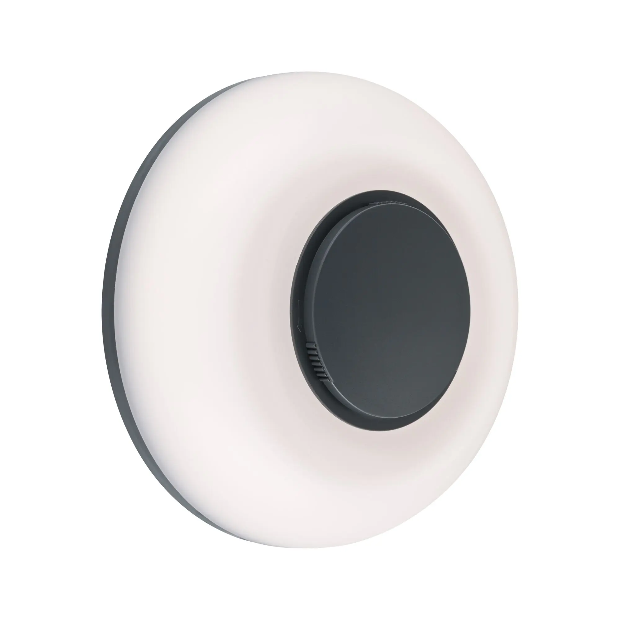 Paulmann LED-Außenleuchte Aureva Ø 22cm 20,5 W anthrazit/weiß