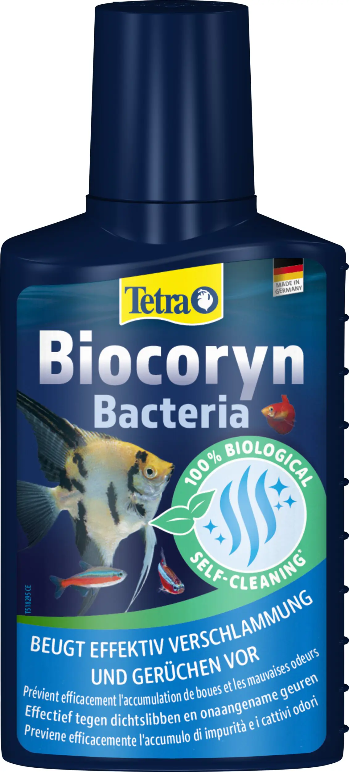 Tetra Aquariumpflege Biocoryn Bacteria 100 ml