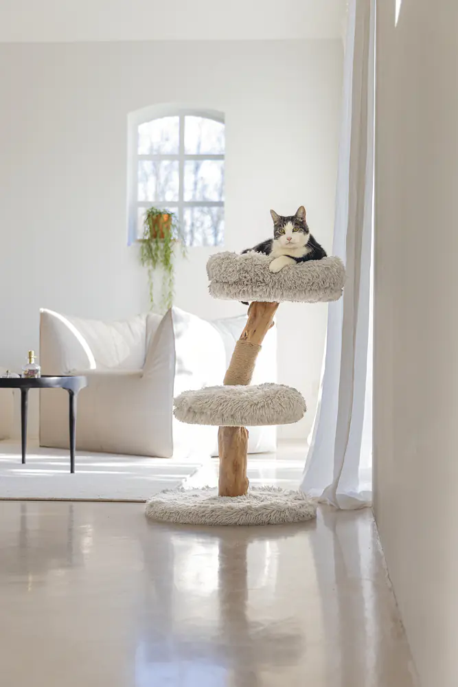 Designed by lotte Kratzbaum Zora H 72 cm 