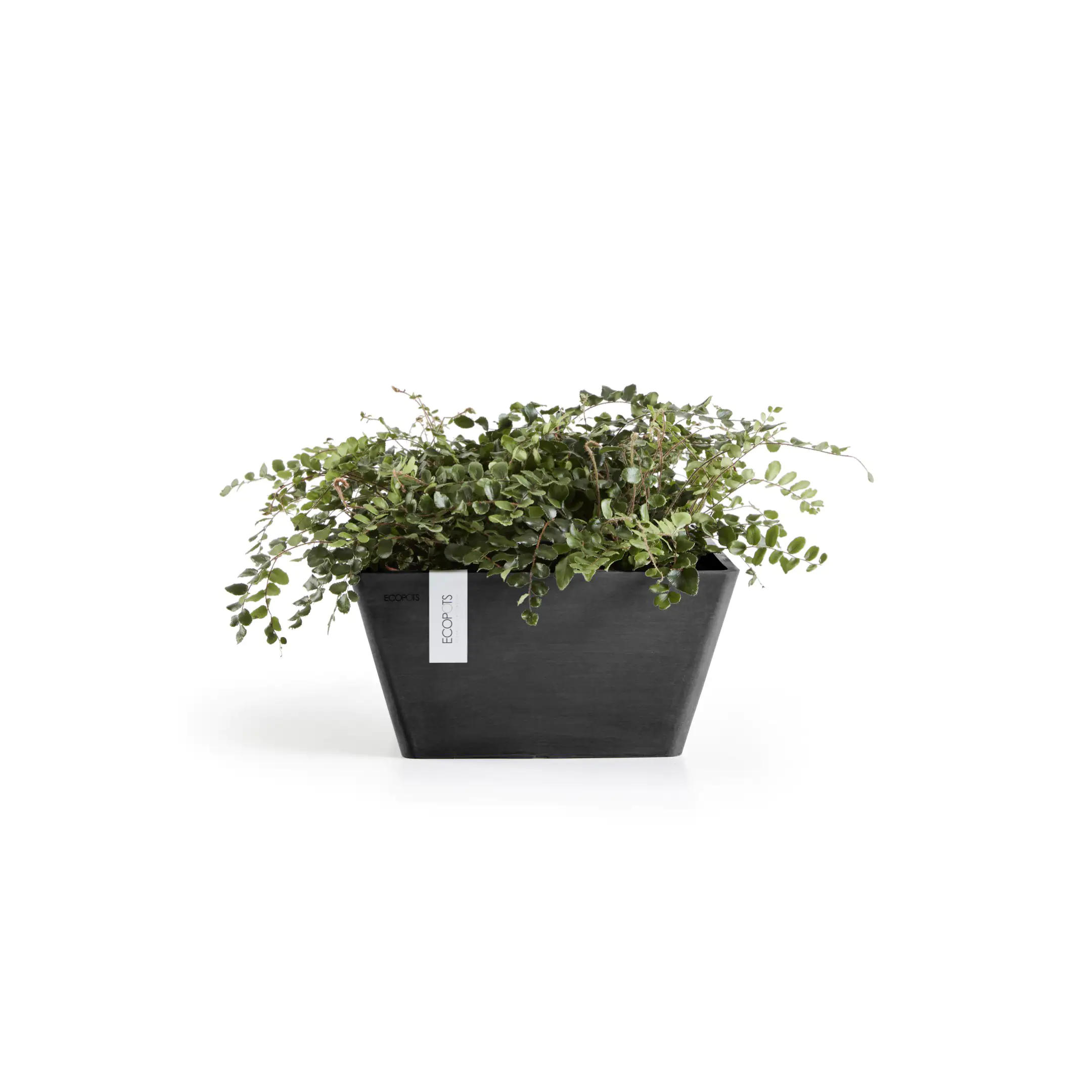 Ecopots Pflanztopf Berlin 31 x 31 x 15,5 cm dunkelgrau