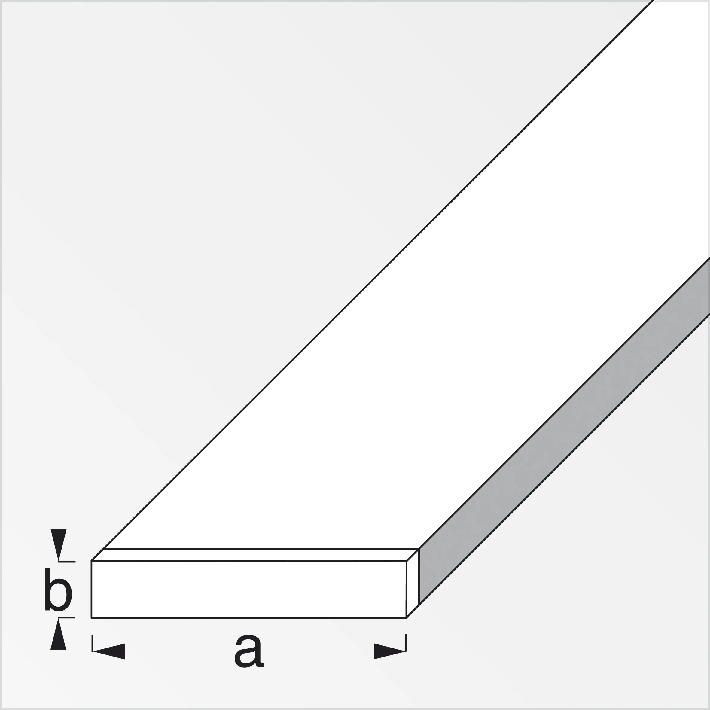 alfer Combitech Richtlatte 250 cm Hartaluminium