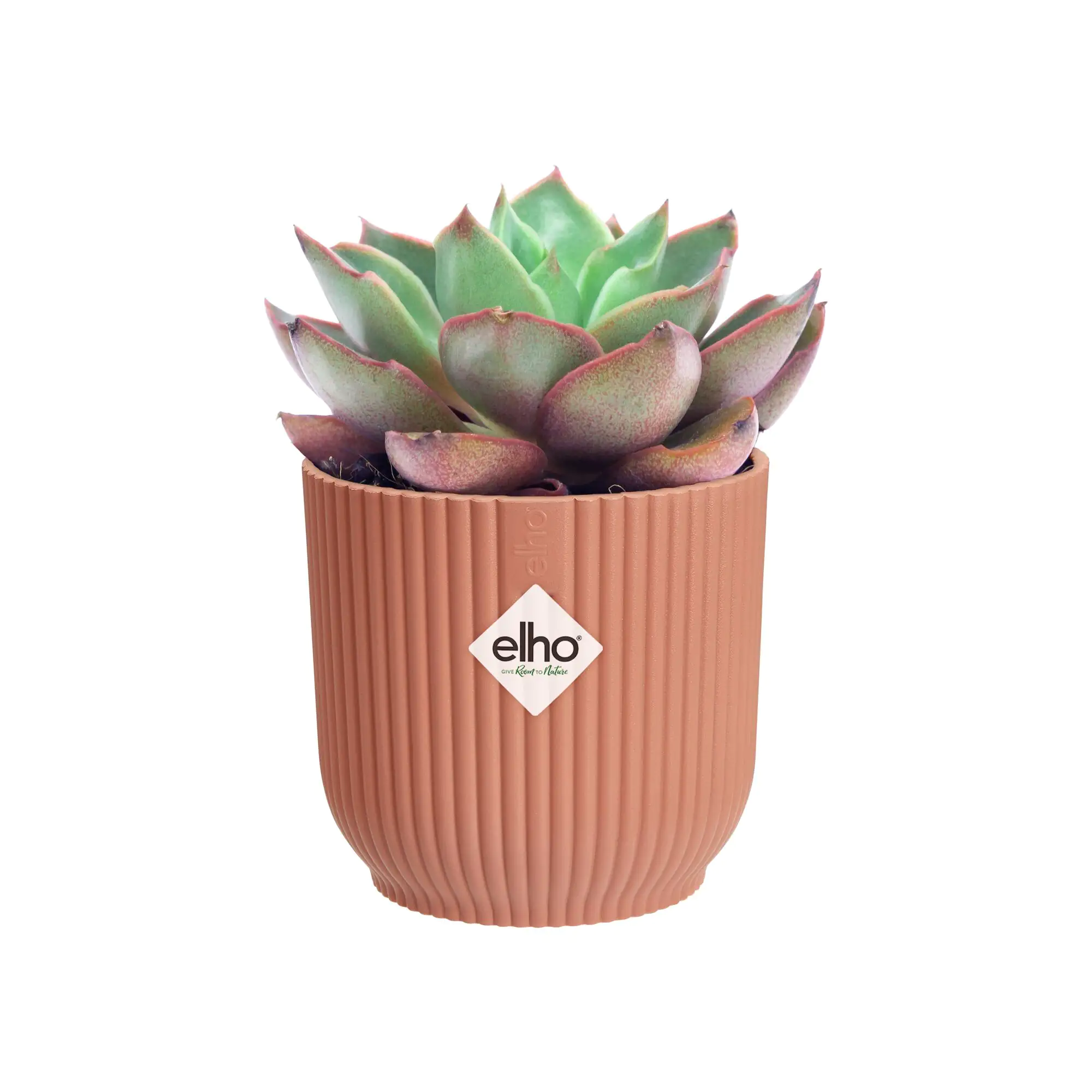 Elho Blumentopf Vibes Fold Ø 11 x 11 cm zartrosa