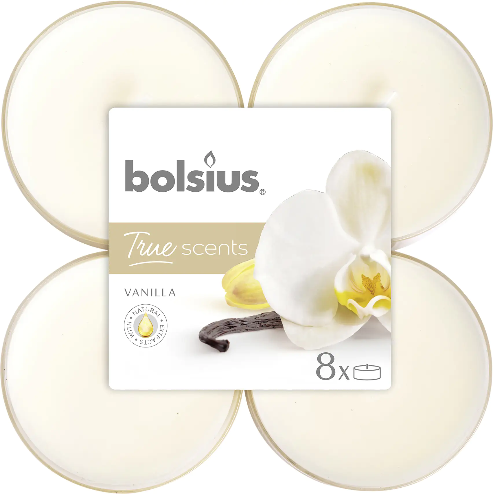 Bolsius Duftteelichter Maxi Vanille, Höhe 1,17 cm, Ø 4,5 cm, 6er Pack