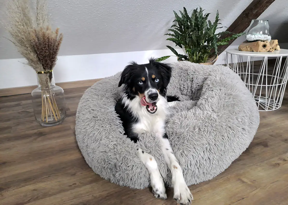 Nobby Kuschelbett Donut Classic Esla dunkelgrau