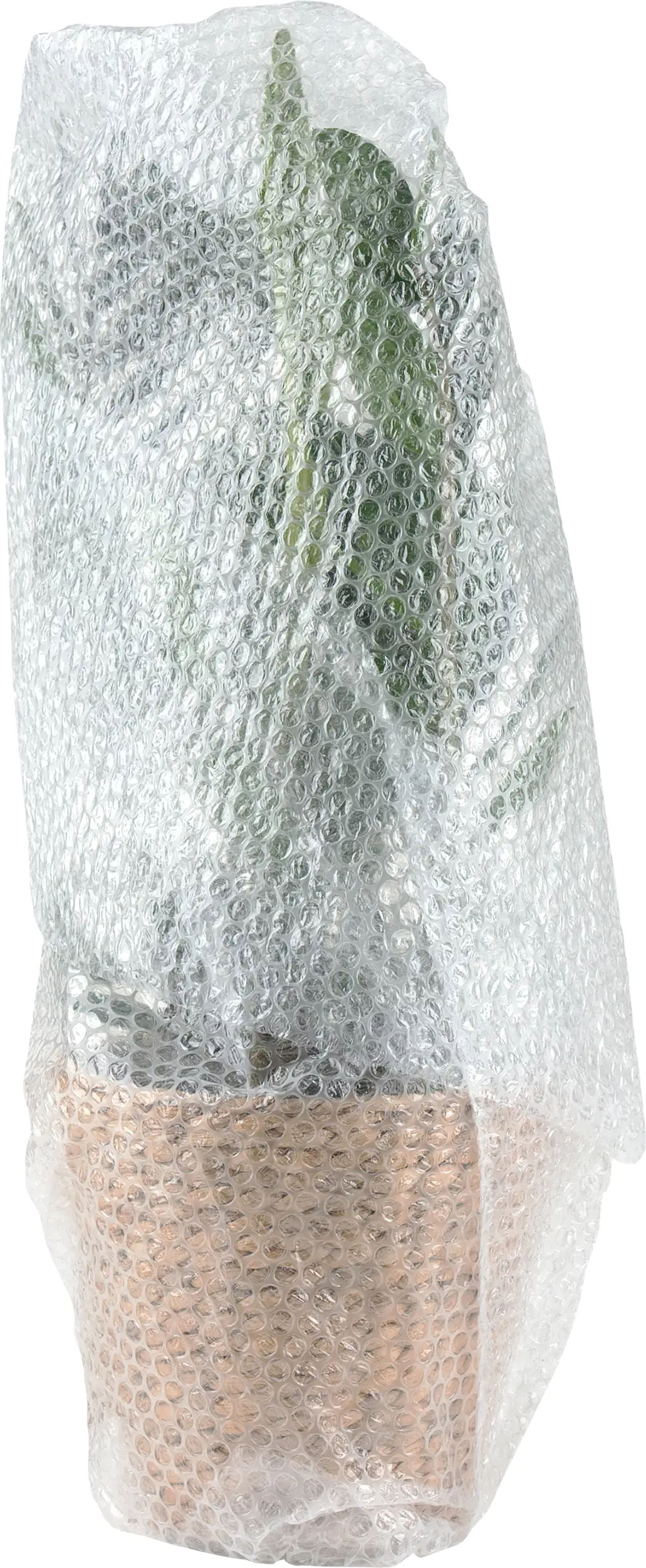 Luftpolsterfolie 5 x 1 m