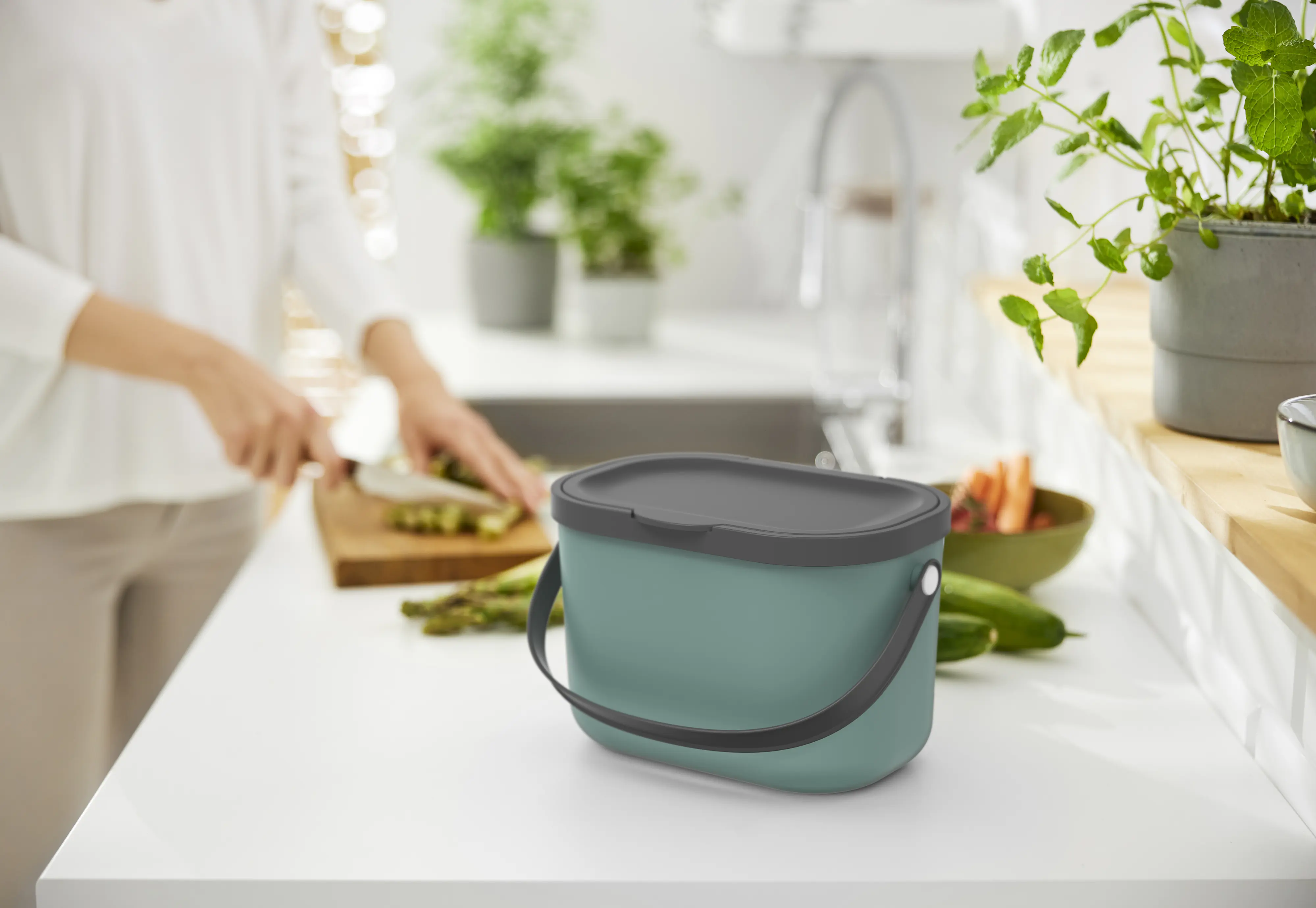 Rotho Mülltrennungssystem 3,2 L Albula mistletoe grün