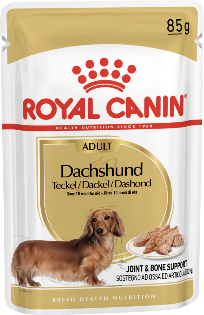 Royal Canin Hundenassfutter Adult 85 g Dachshund Mousse