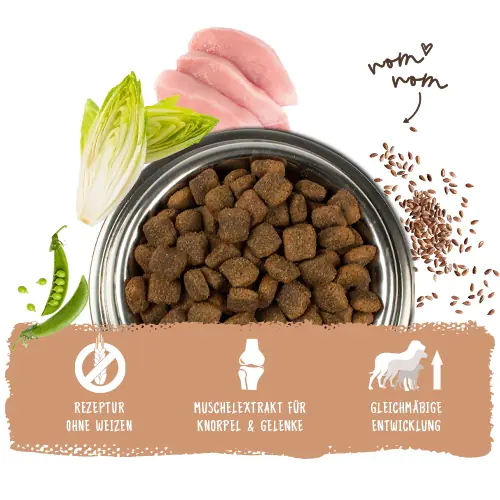 Bosch Hundetrockenfutter Adult Maxi 3 kg Geflügel 