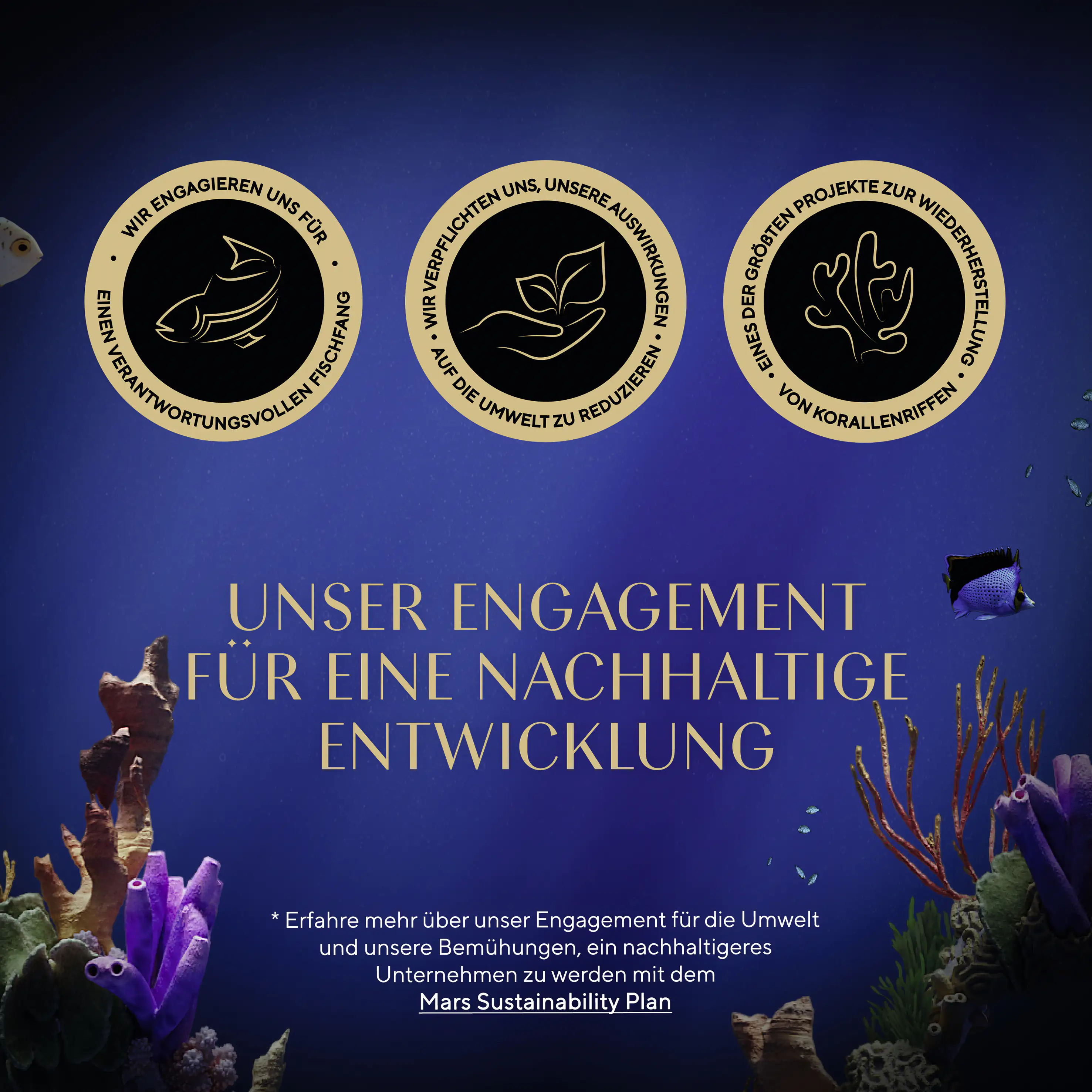 Sheba Finesse Katzennassfutter Adult 85 g Feine Pastete mit Lachs