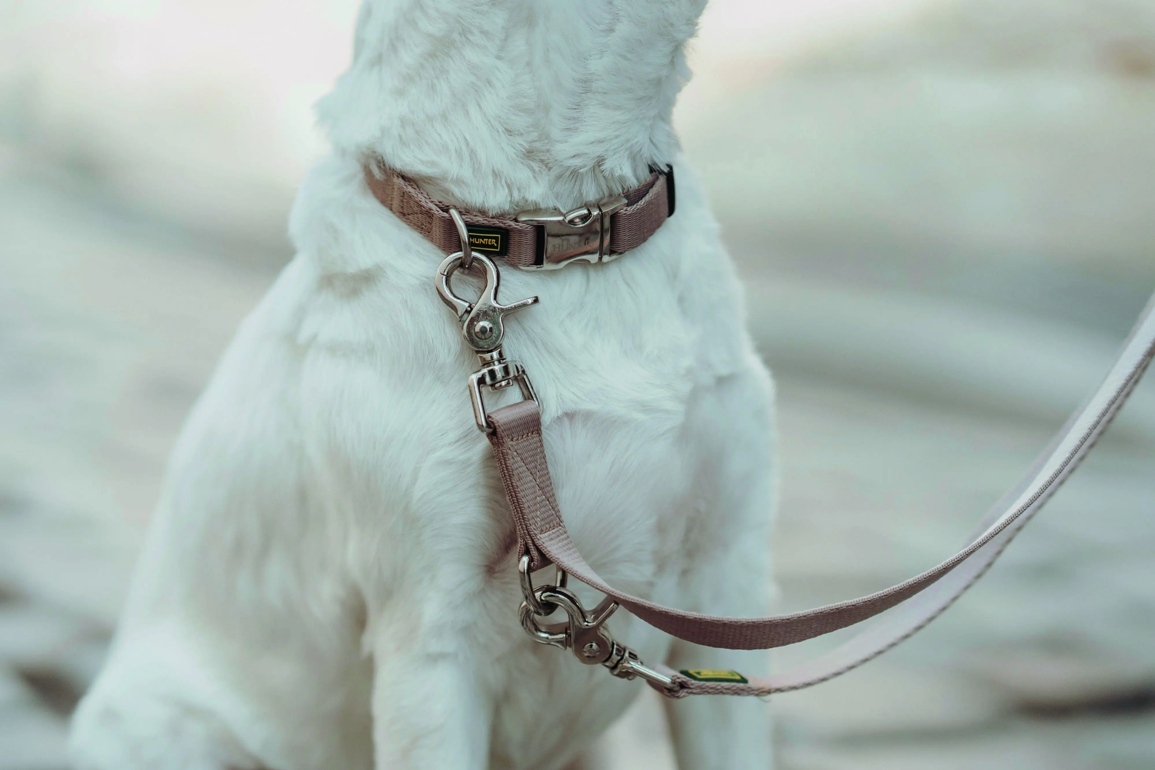Hunter Hundehalsband Inari Alu-Strong L beige
