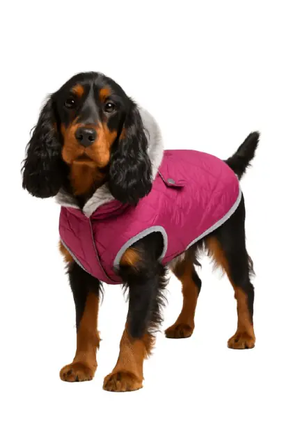Nobby Hundemantel Polar violett
