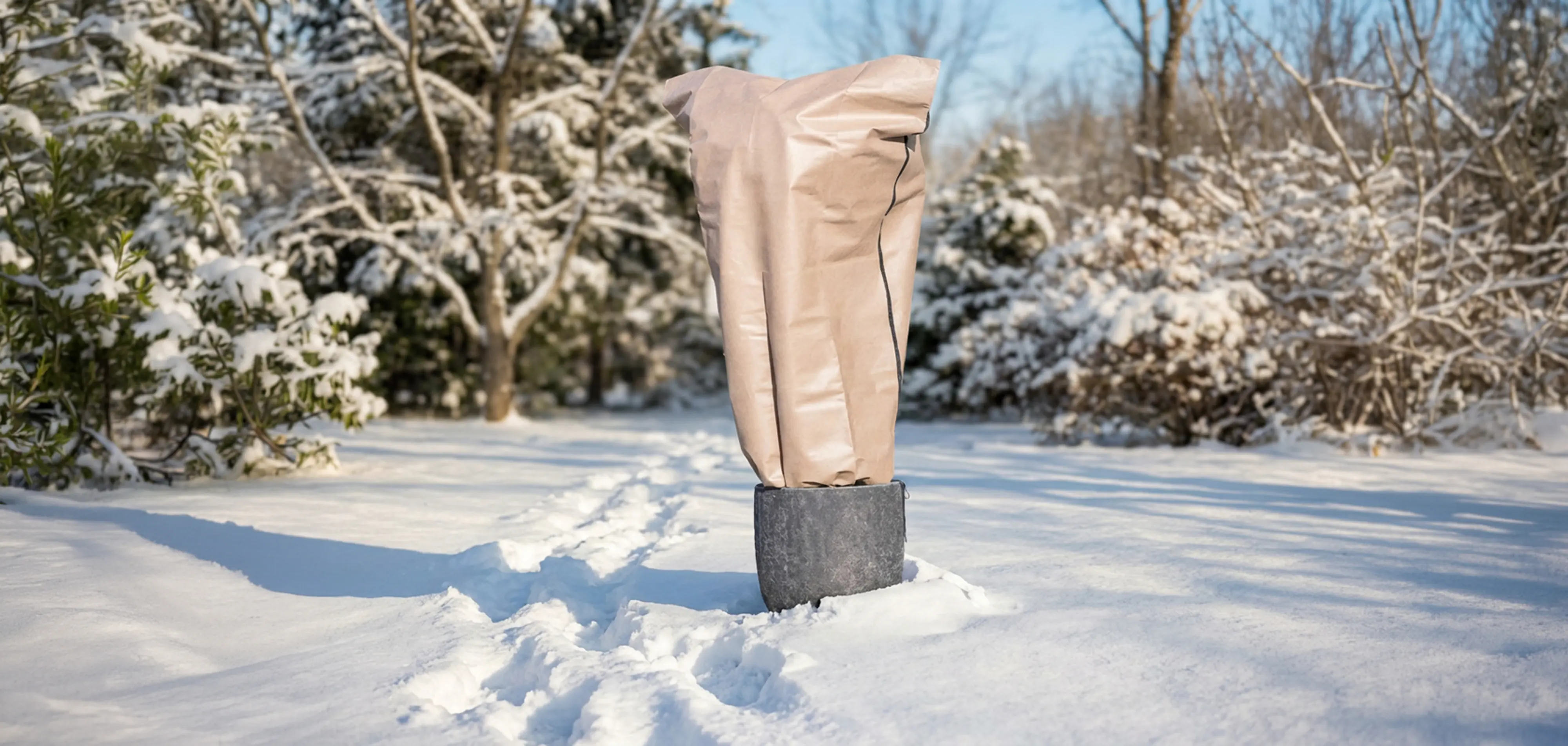 Windhager Winterschutz für Pflanzen Schutzhaube S-prot 180 x 240 cm beige