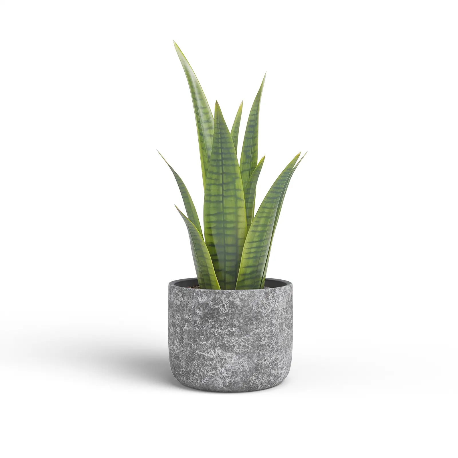 Artevasi Übertopf Cassia Keramik Ø 25 x 22 cm anthrazit