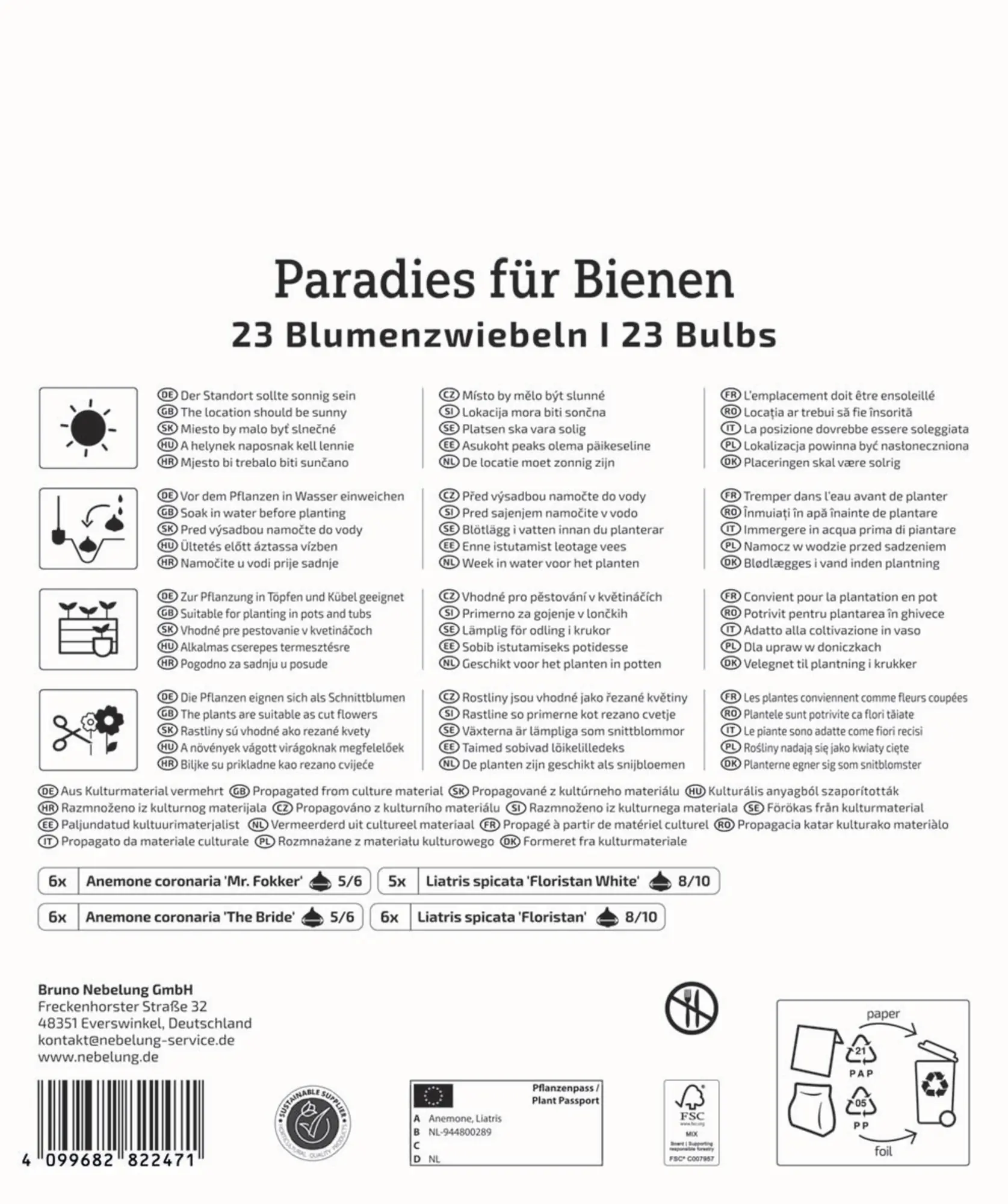 Kiepenkerl Mega-Pack Frühjahrsblumenzwiebel Blumenzwiebelmischung Paradies für Bienen 23 Stück