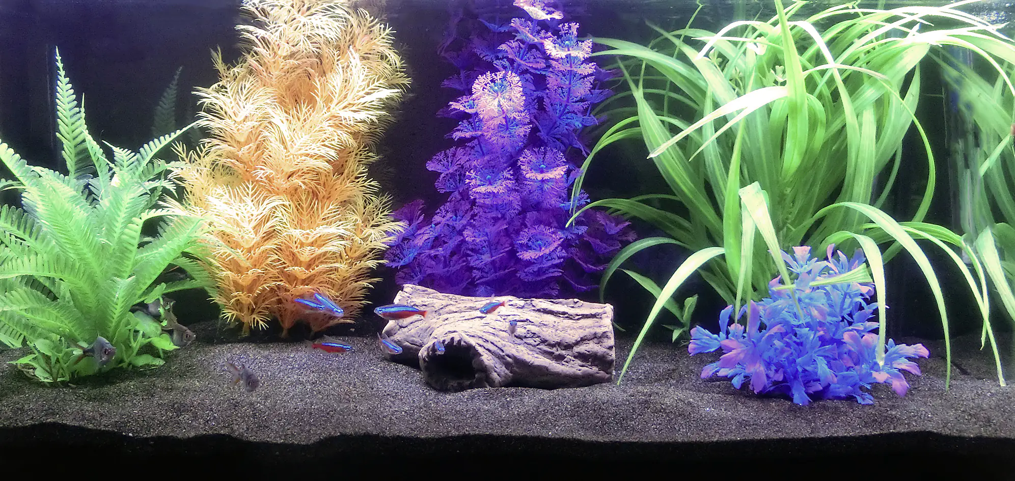 Orbit Aquarien Glanz-Sand schwarz 4 kg