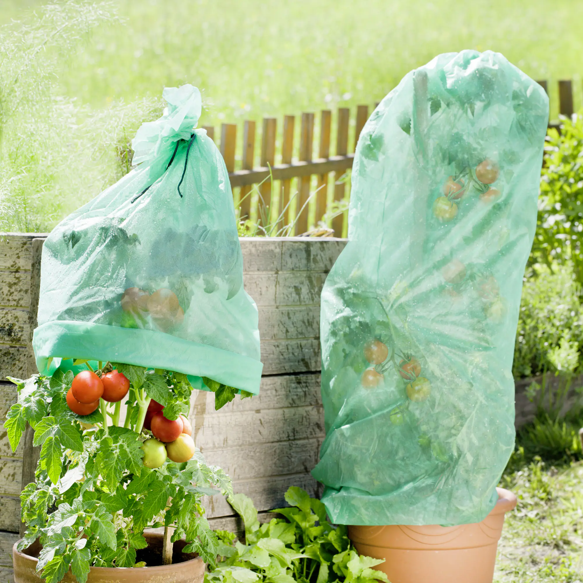 Windhager Tomatenvlies 10 x 0,65 m, 20g/m²