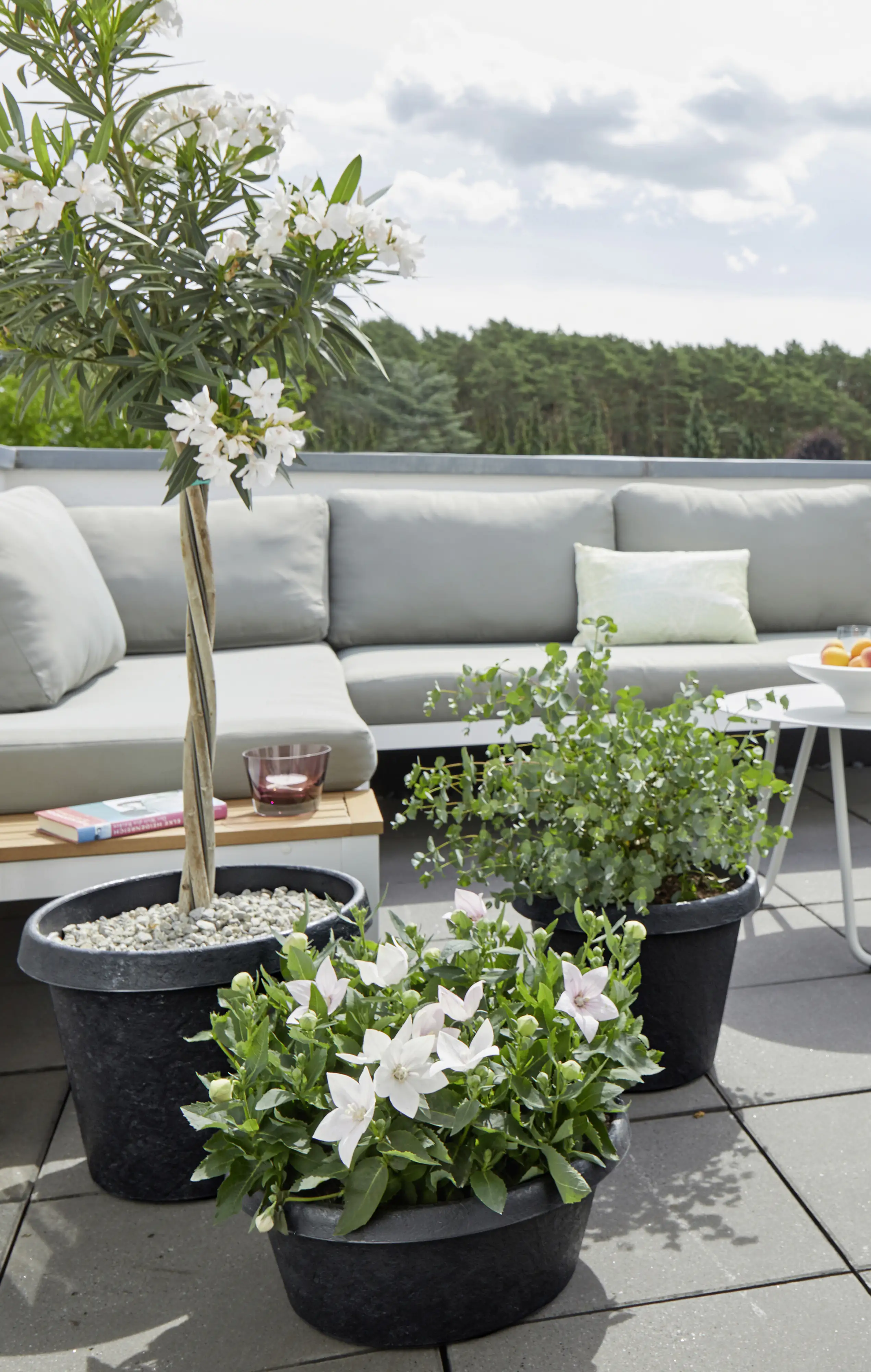 Scheurich Pflanzgefäß Stones Serie 285 anthrazit Ø 40 cm
