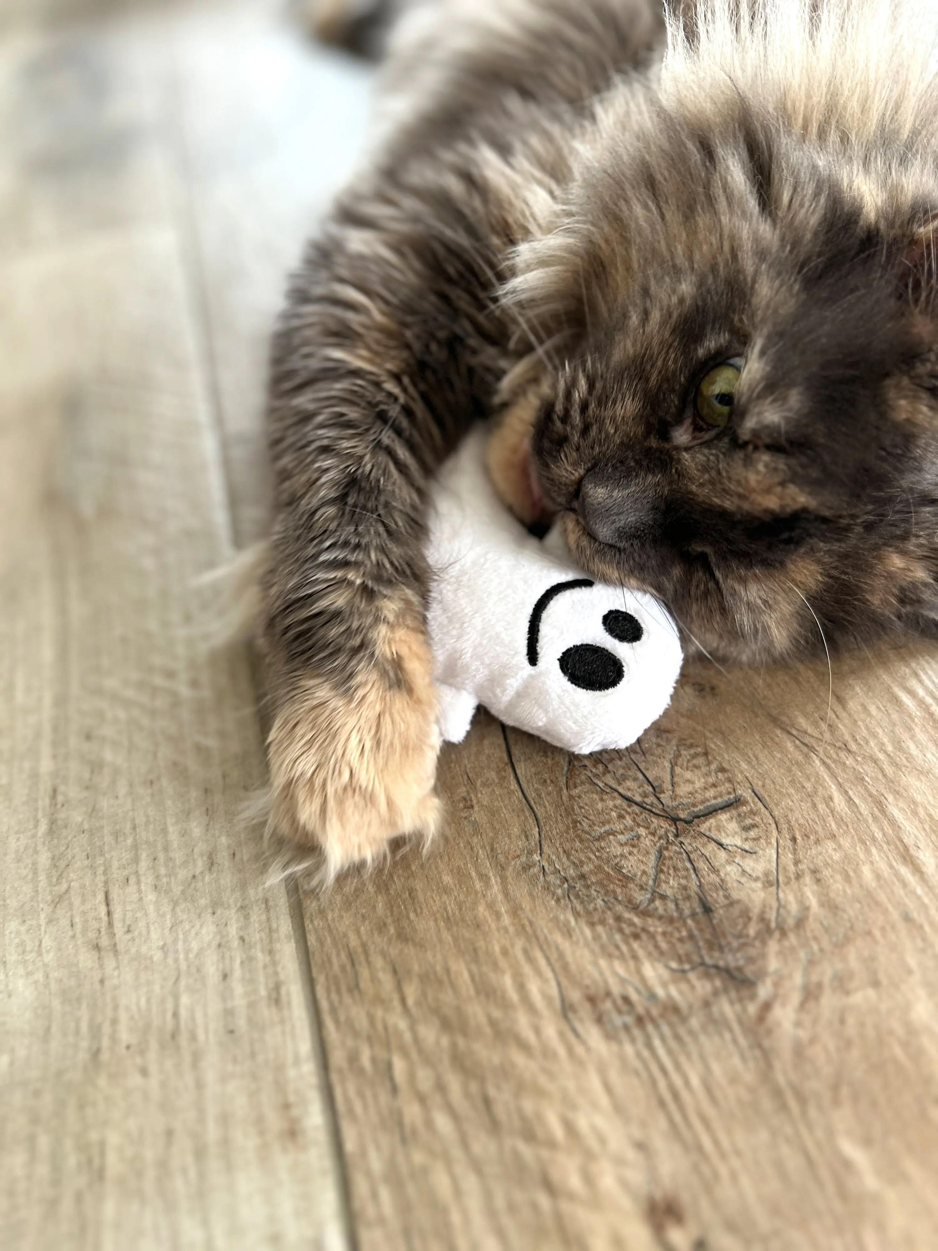 Aumüller Katzenspielzeug Geister 12 cm weiß schwarz - 2 Stk.