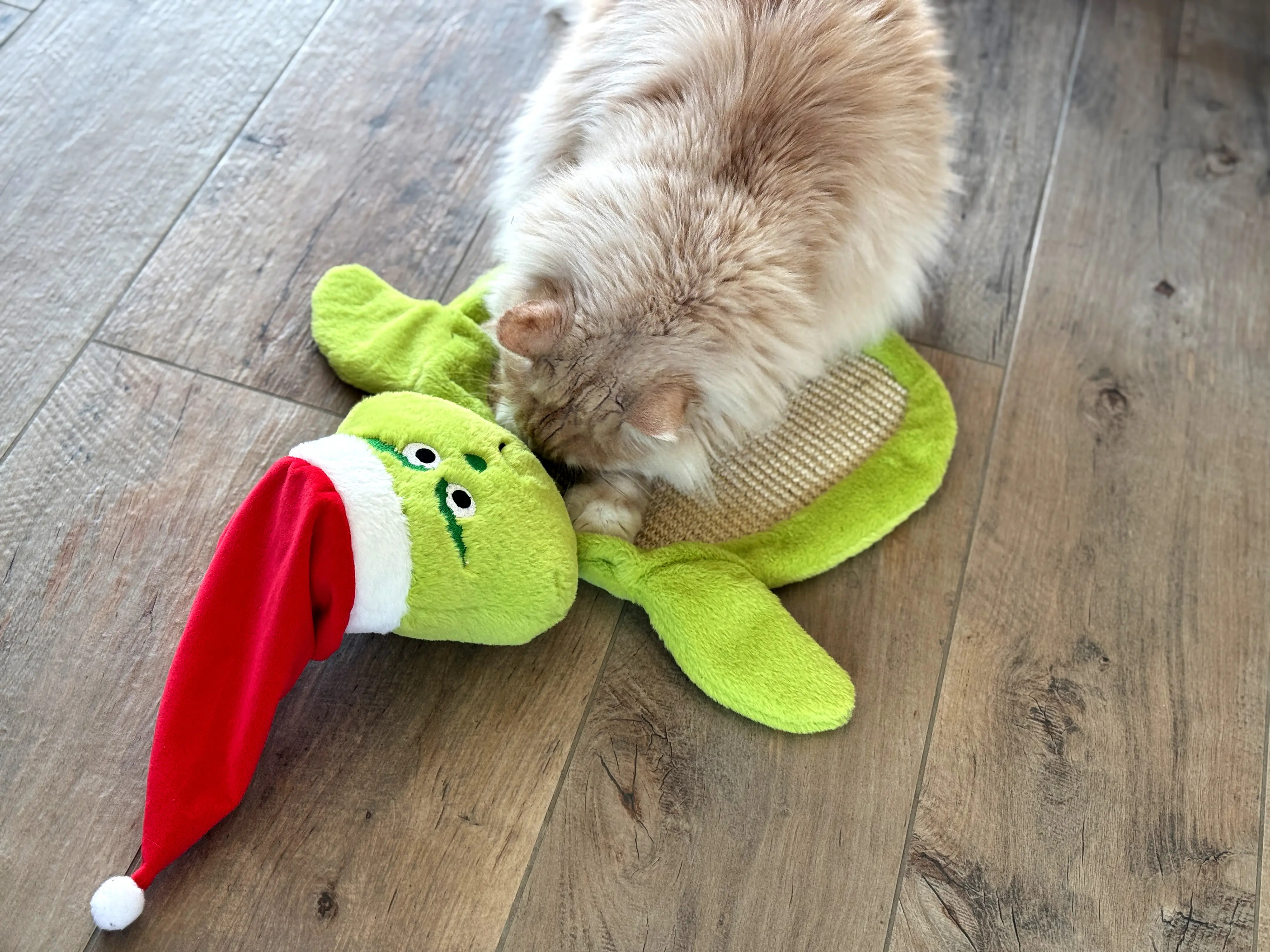 Aumüller Katzenspielzeug Weihnachtsmuffel Kratzmatte 58 cm grün