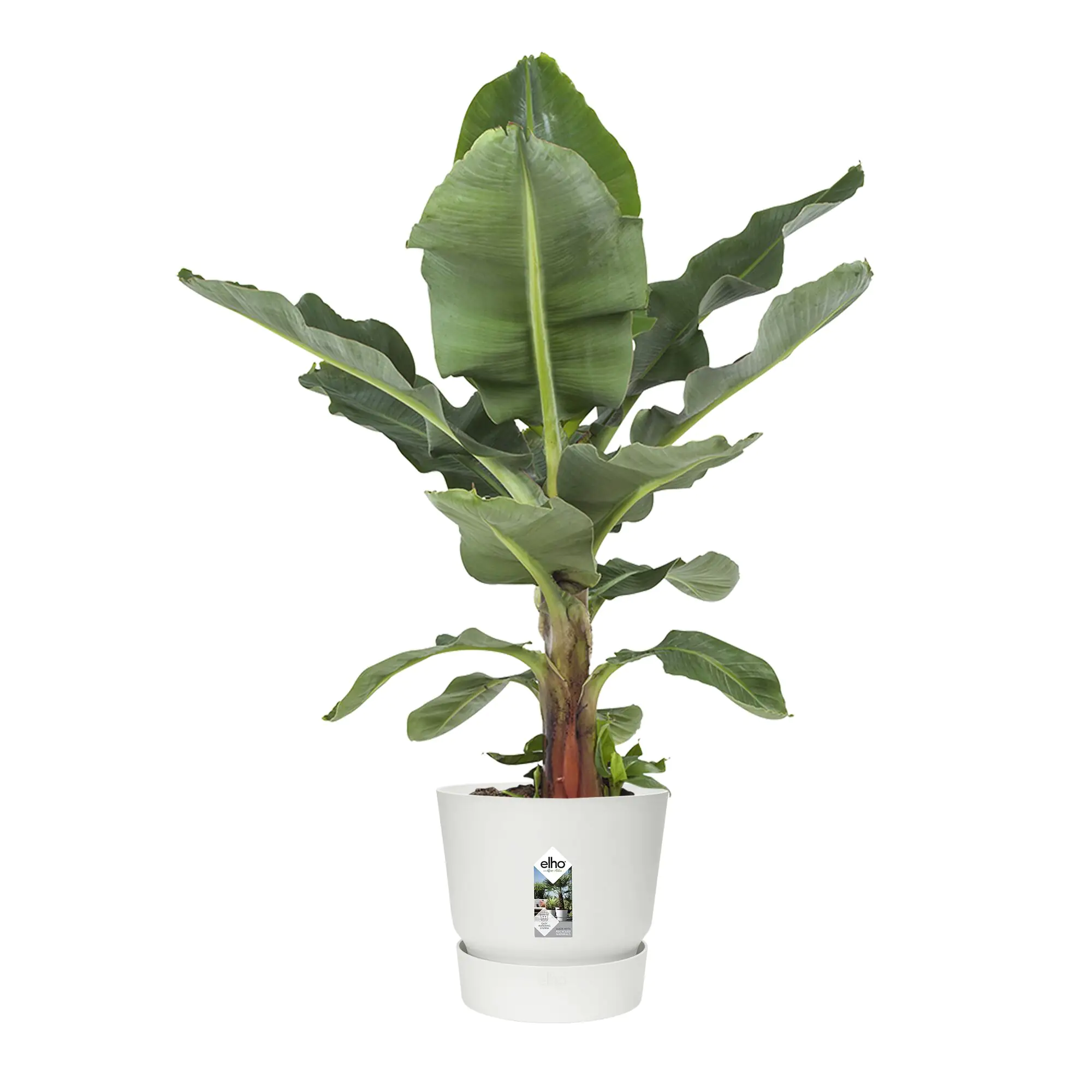 Elho Pflanztopf Greenville Ø 40 x 37 cm weiß
