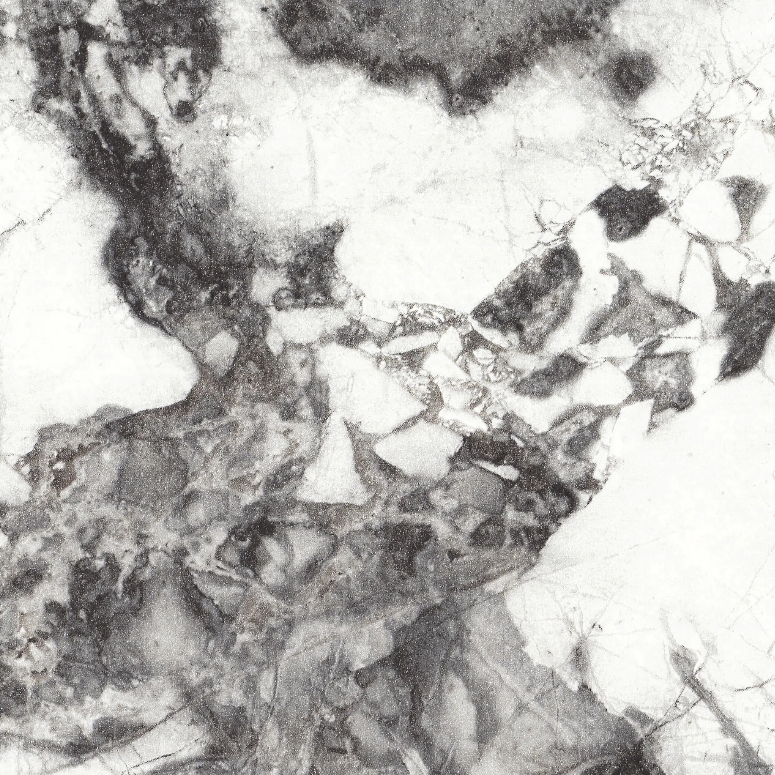 Wetwall Alloy Wandpaneel  Calacatta Fantasia 60 x 244 cm