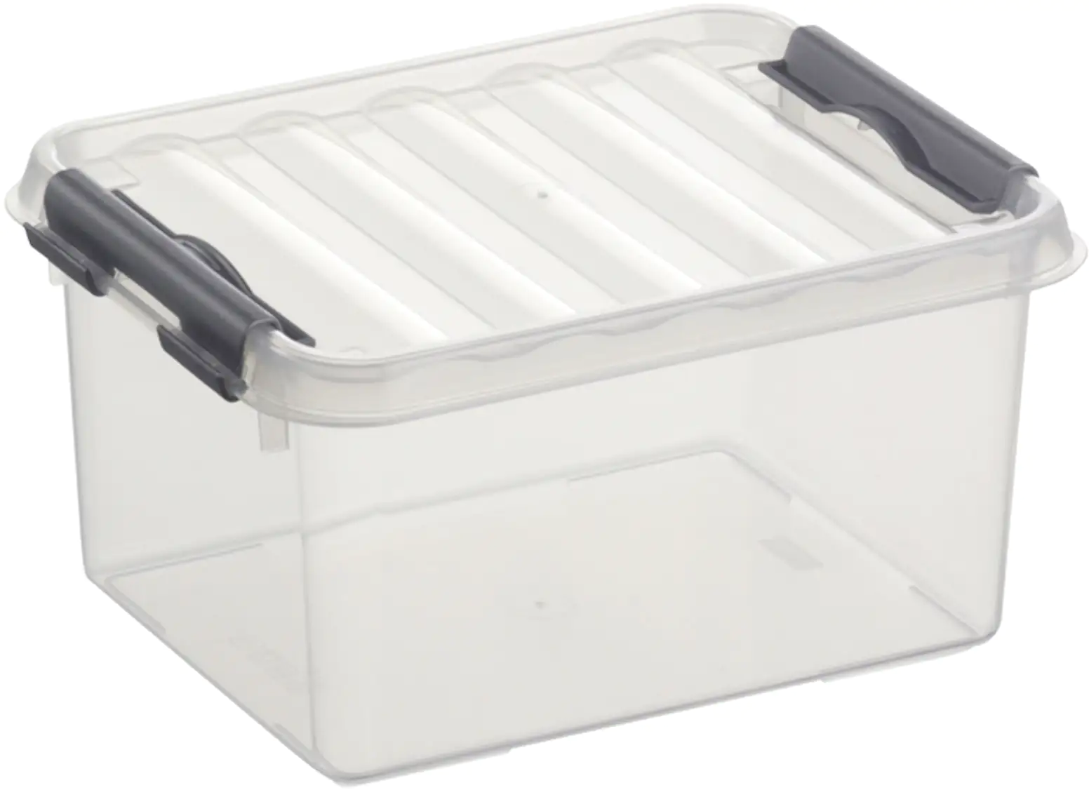 Sunware Aufbewahrungsbox Q-Line mit Deckel 20 x 15 cm 2 L transparent