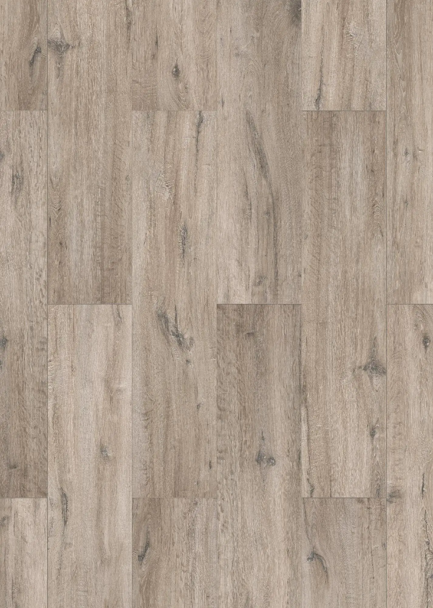 Classen Laminat Megaloc Aquaprotect XL Eiche grau braun LHD