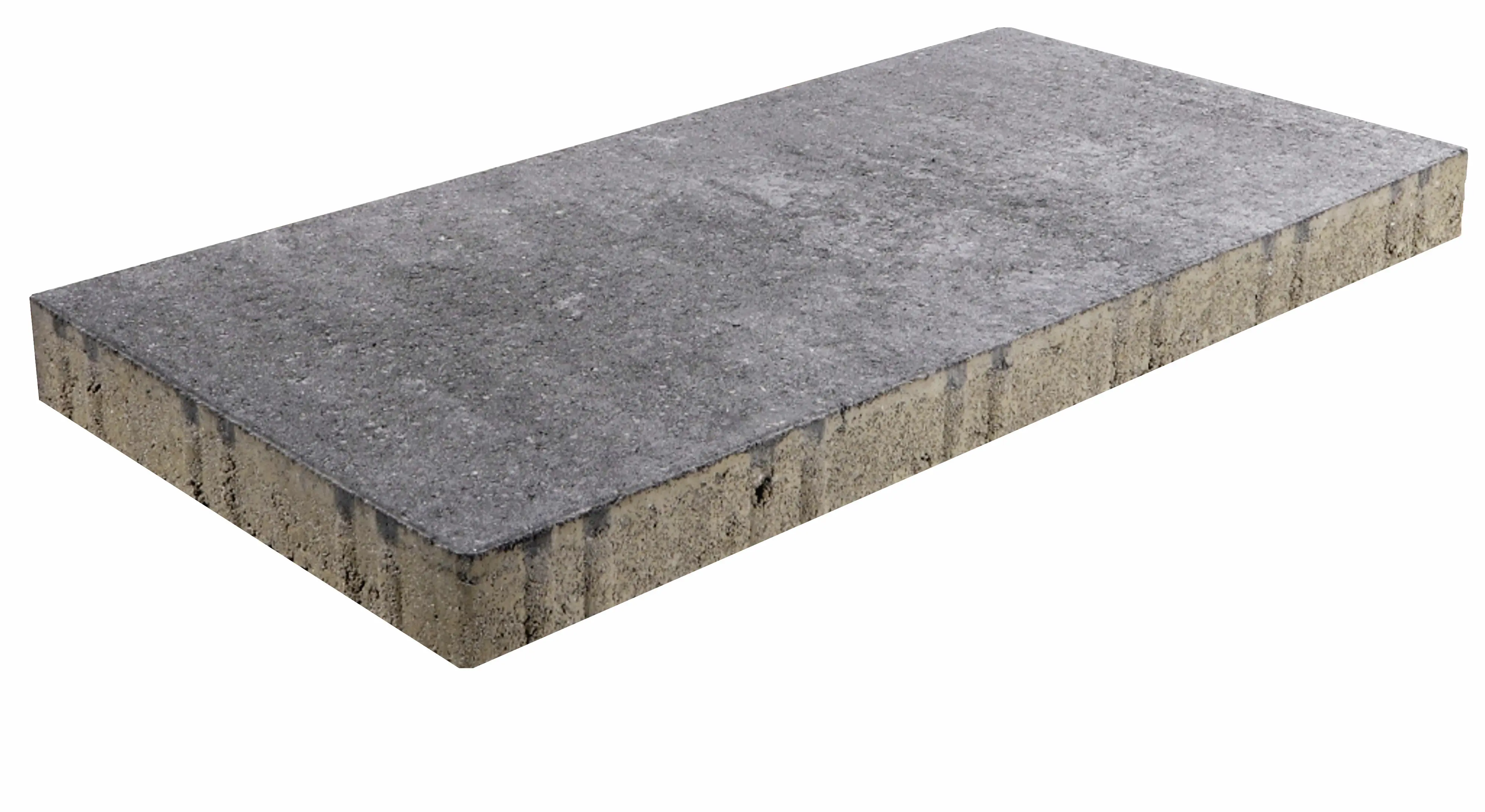 EHL Terrassenplatte Galano 60 x 30 x 4 cm grau anthrazit