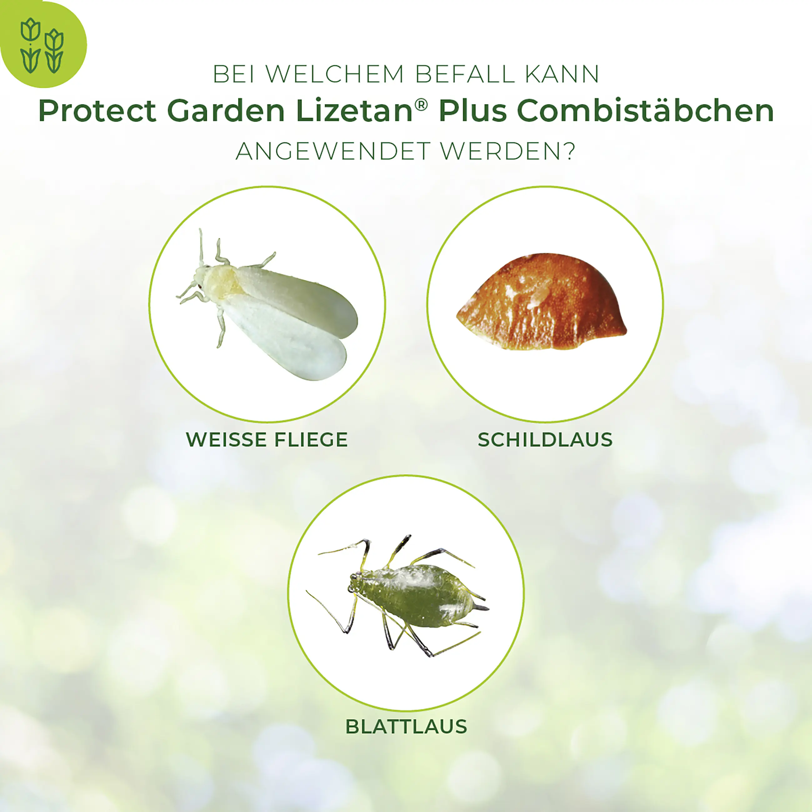 Protect Garden Lizetan Plus Combistäbchen 2 in 1 10 Stück