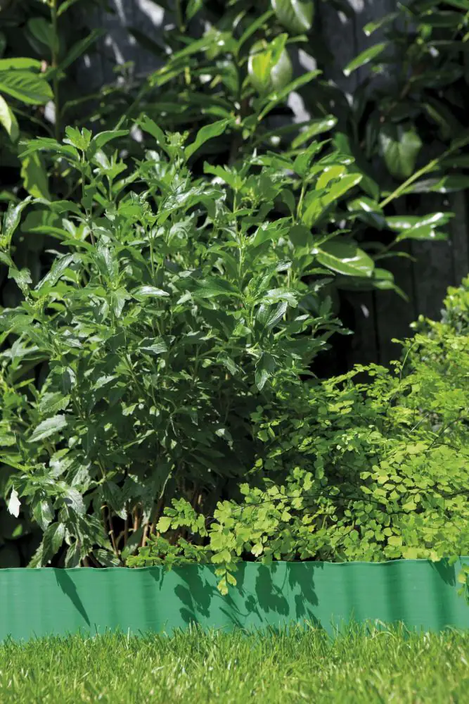 Gardena Beeteinfassung grün 9 m x 9 cm
