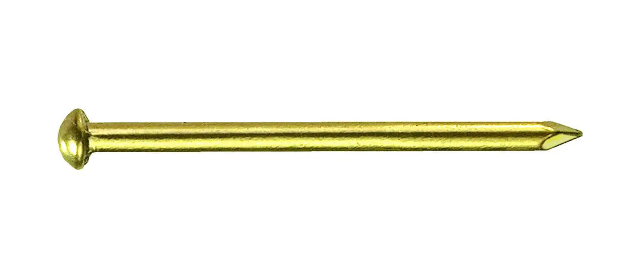 Connex Rundkopfstifte 2,0 x 20 mm