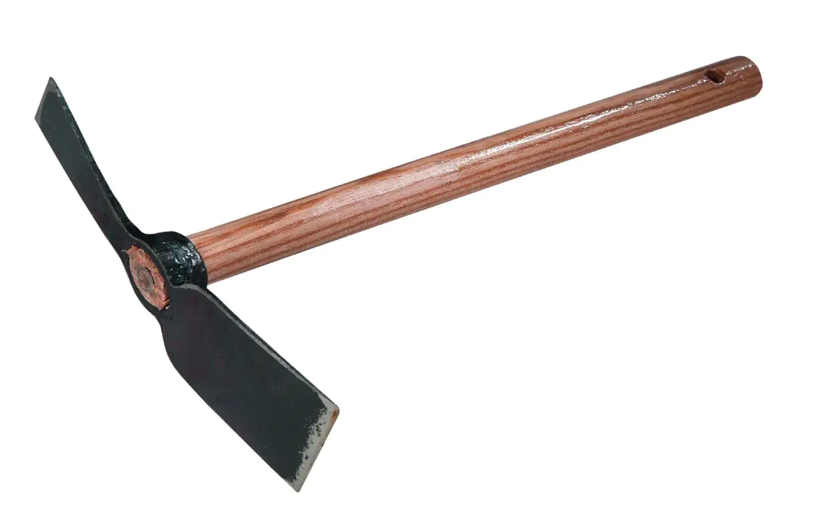 Freund Victoria Schmalblatt-Kleinhacke nur 45 cm ideal für Hochbeete