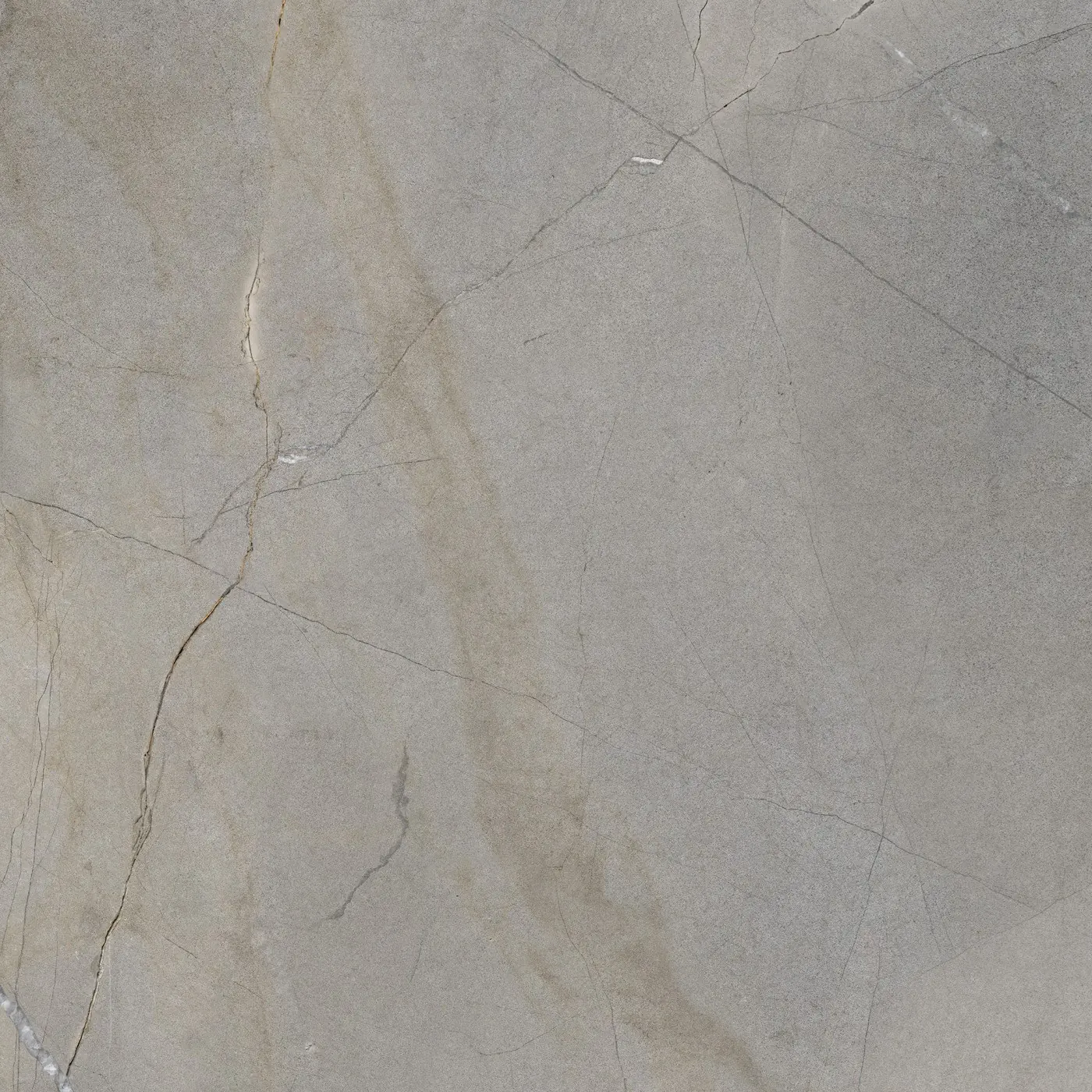Bodenfliese Feinsteinzeug Westmount 60 x 60 cm grau